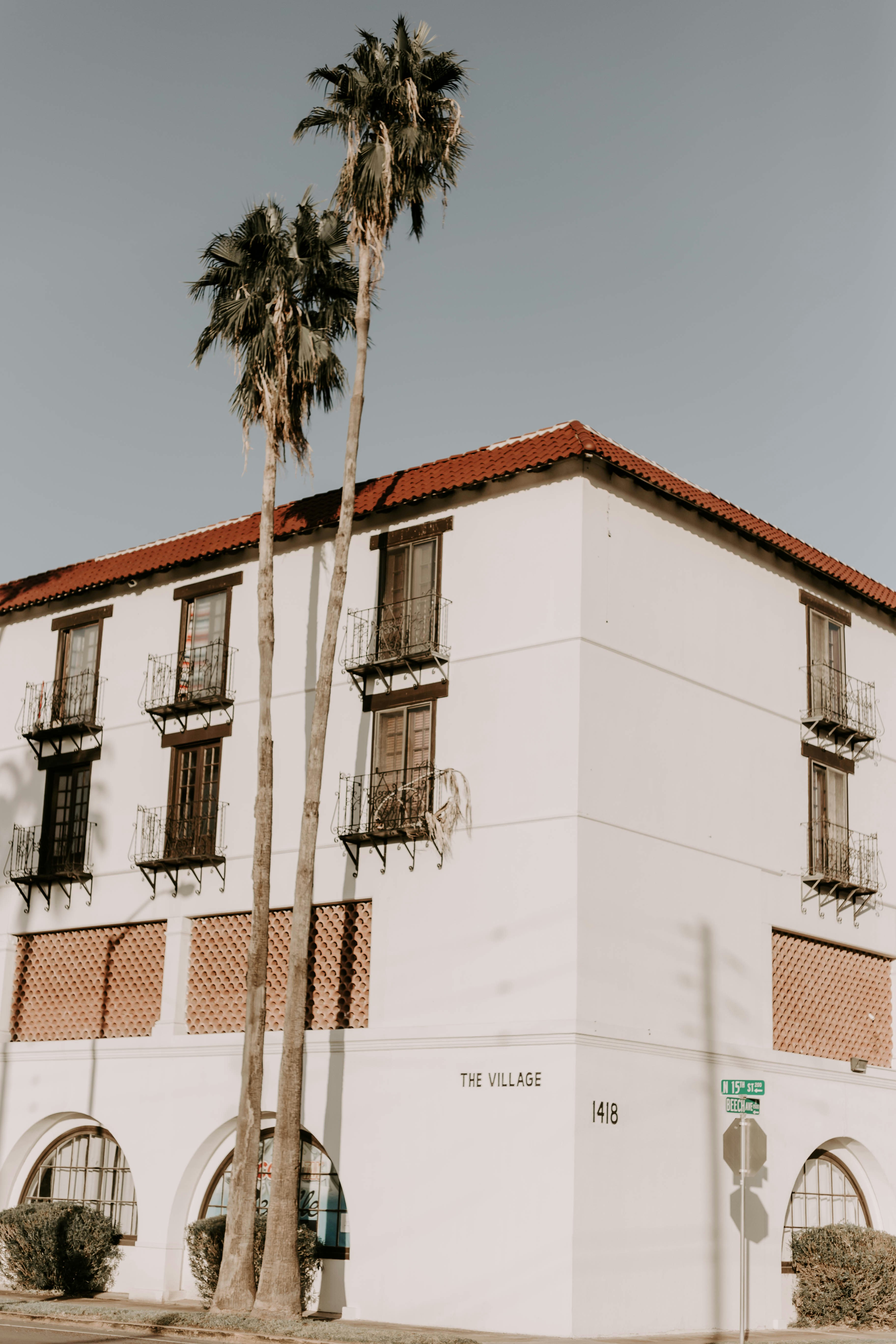 Corner Street Building With Palm Trees
