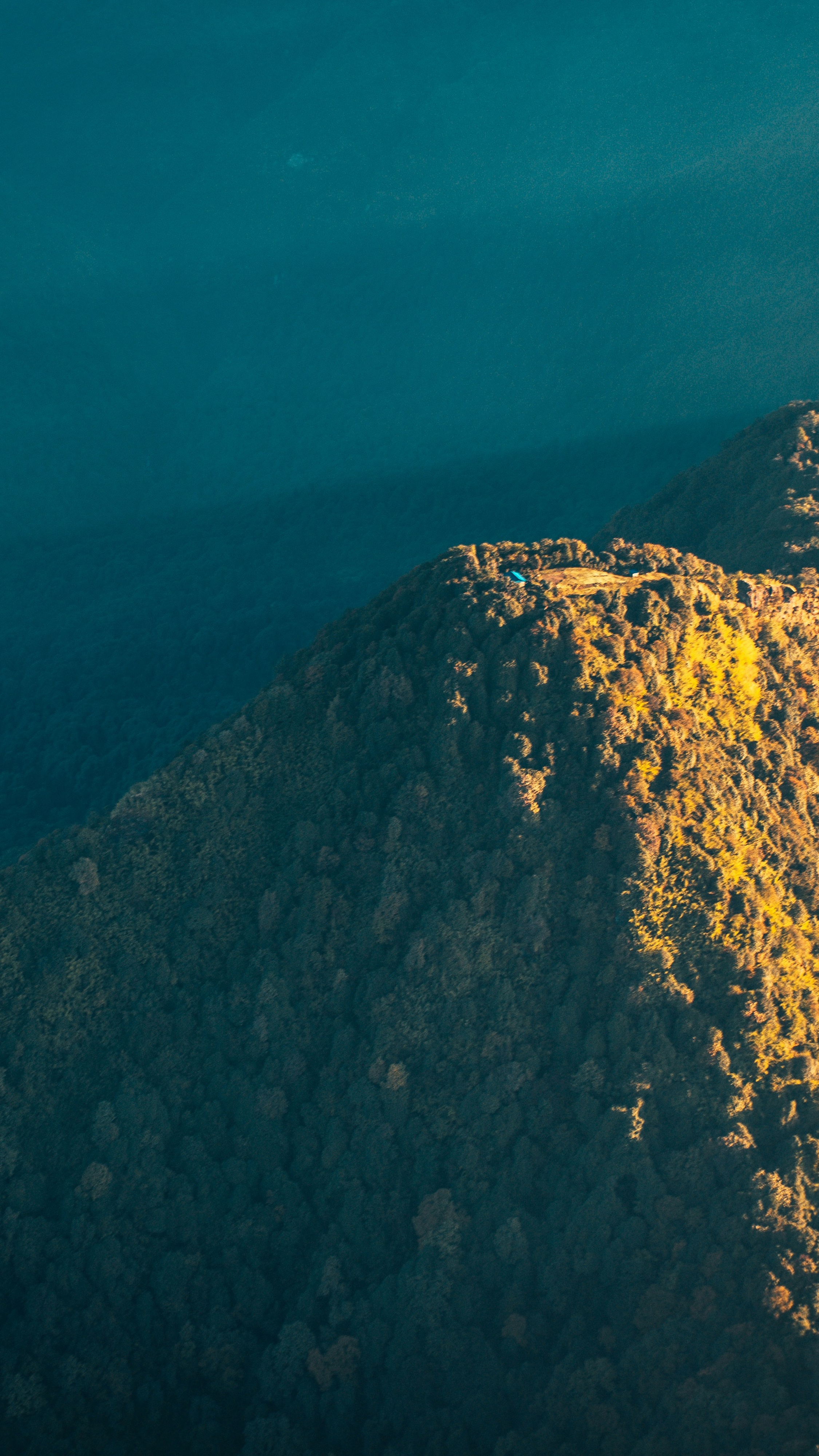Sunlit Forested Mountain Peak