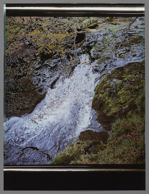 Forest Stream Waterfall