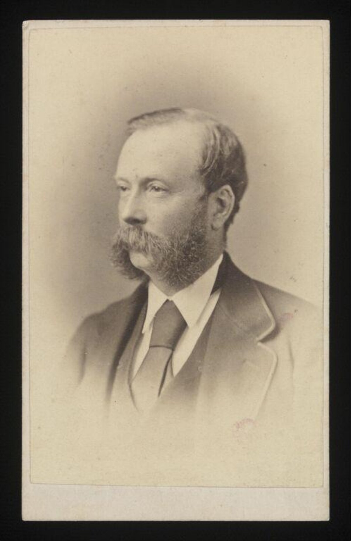 Vintage Portrait of 19th Century Bearded Man