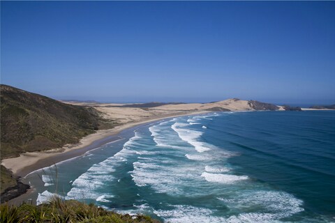 Coastal Sand Dune Beach Landscape