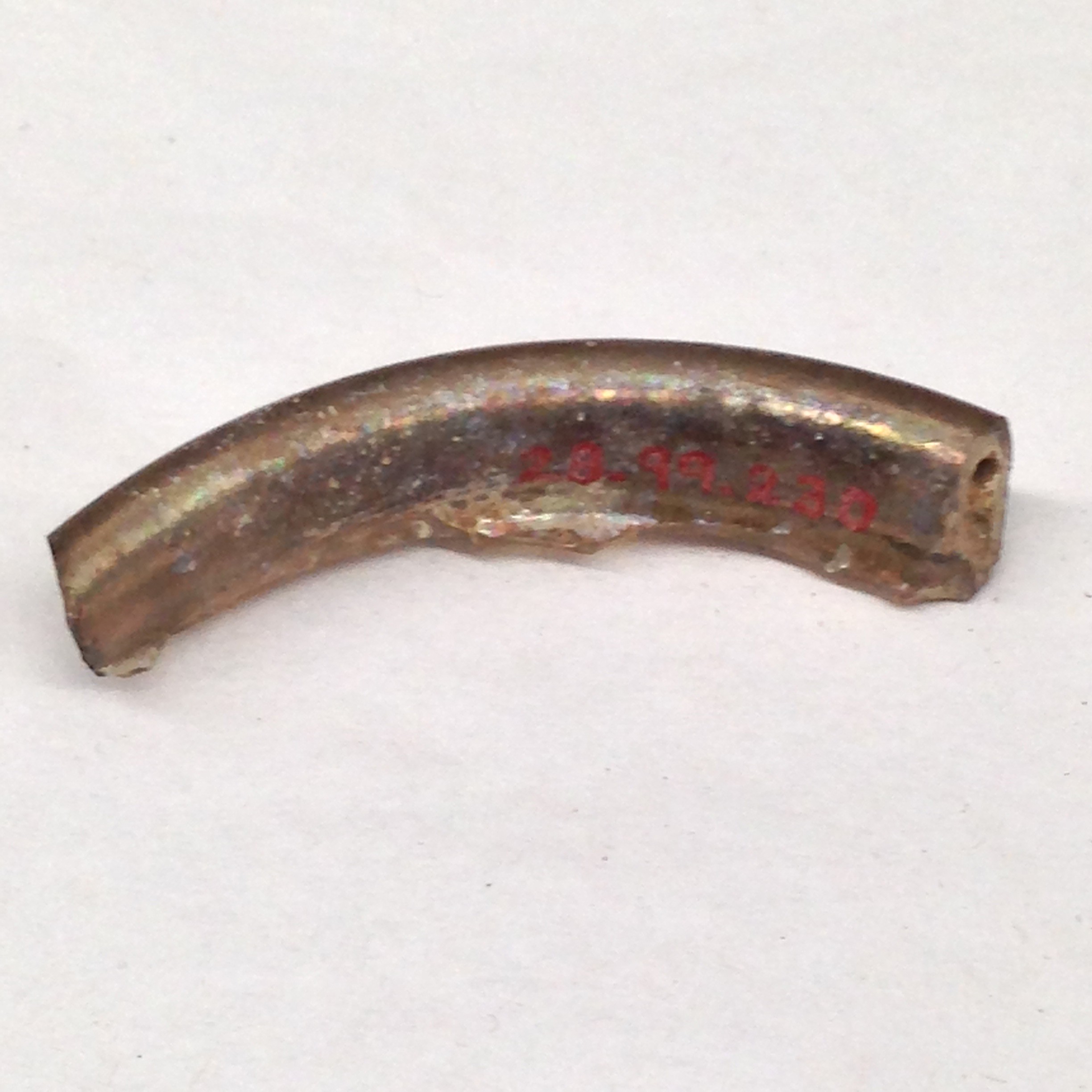 Broken Curved Metal Fragment