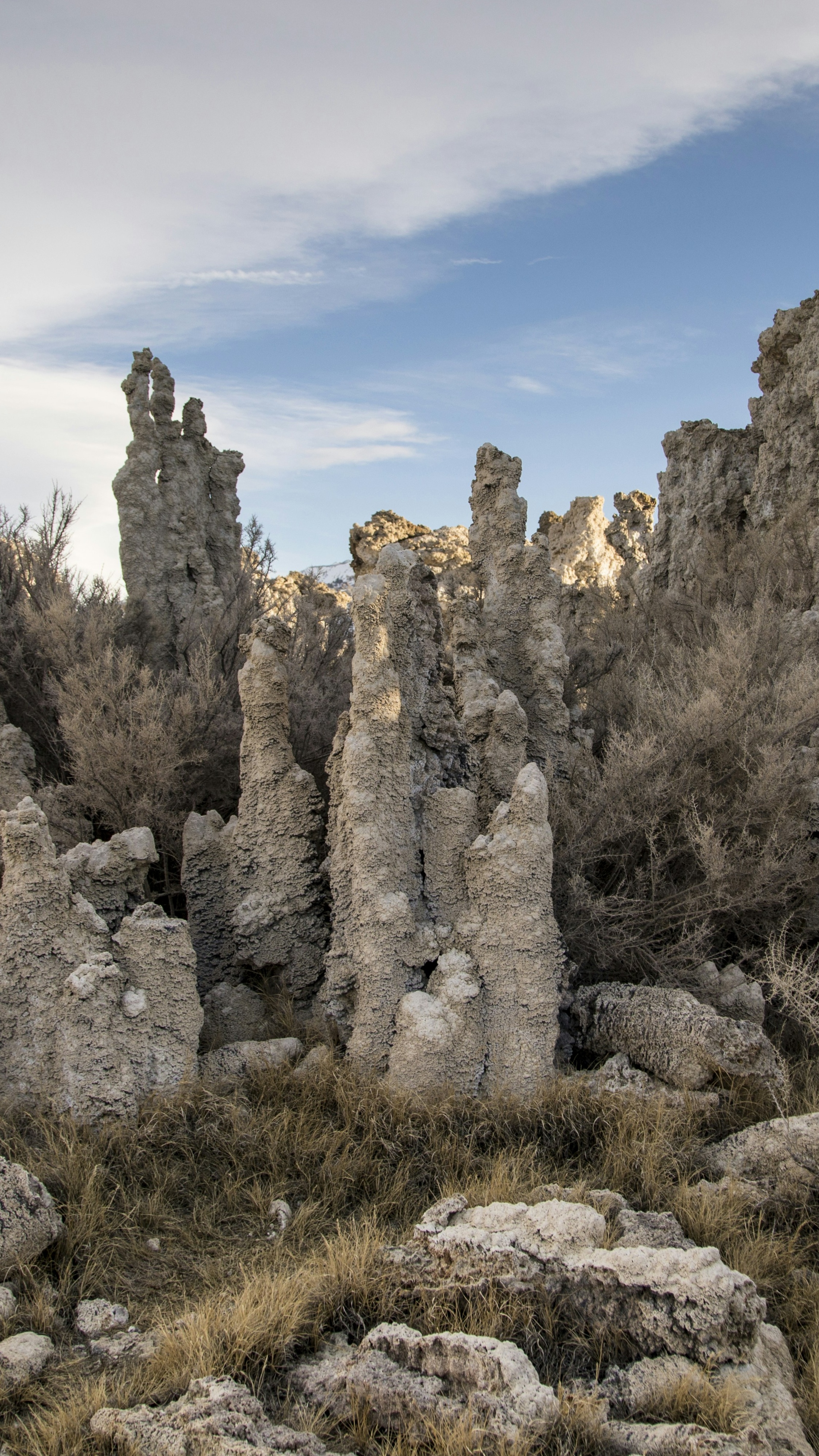 Mono Lake Tufa Rock Formations