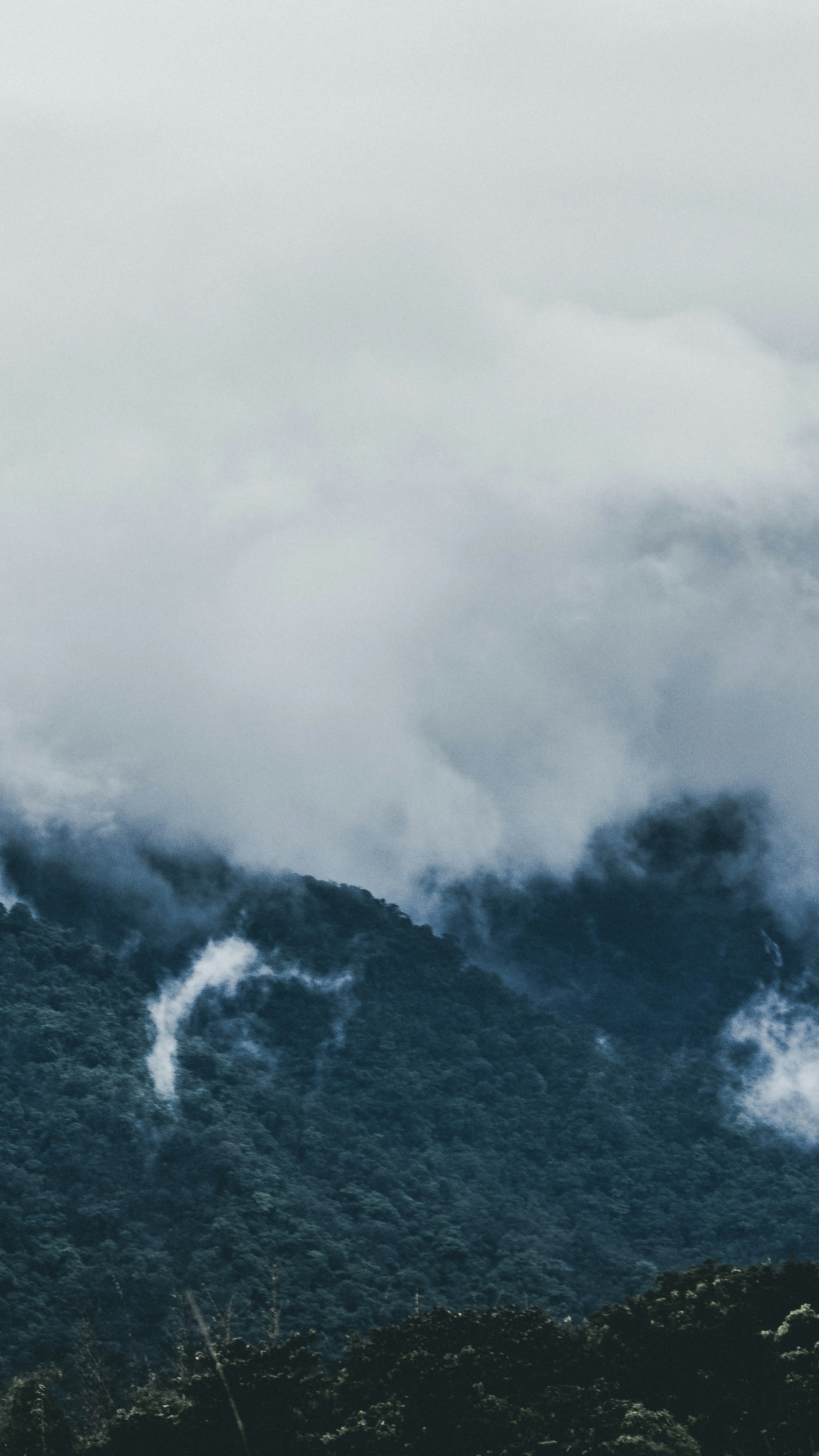 Landscapes