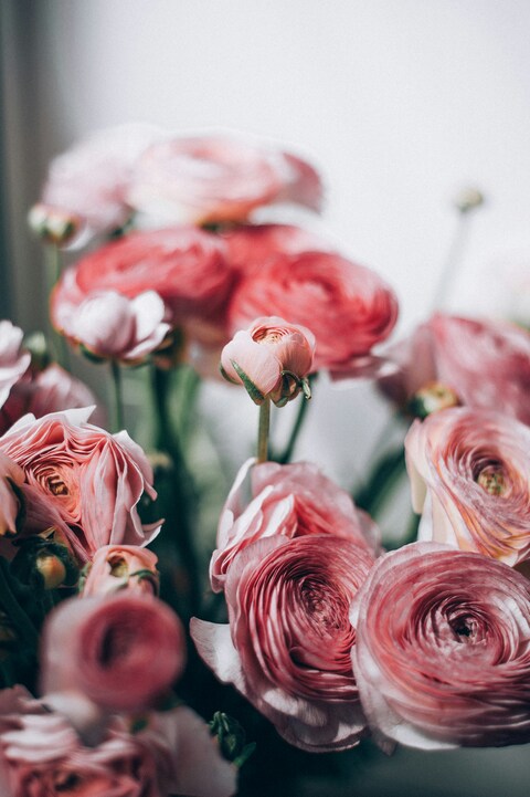 Pink Ranunculus Flower Bouquet