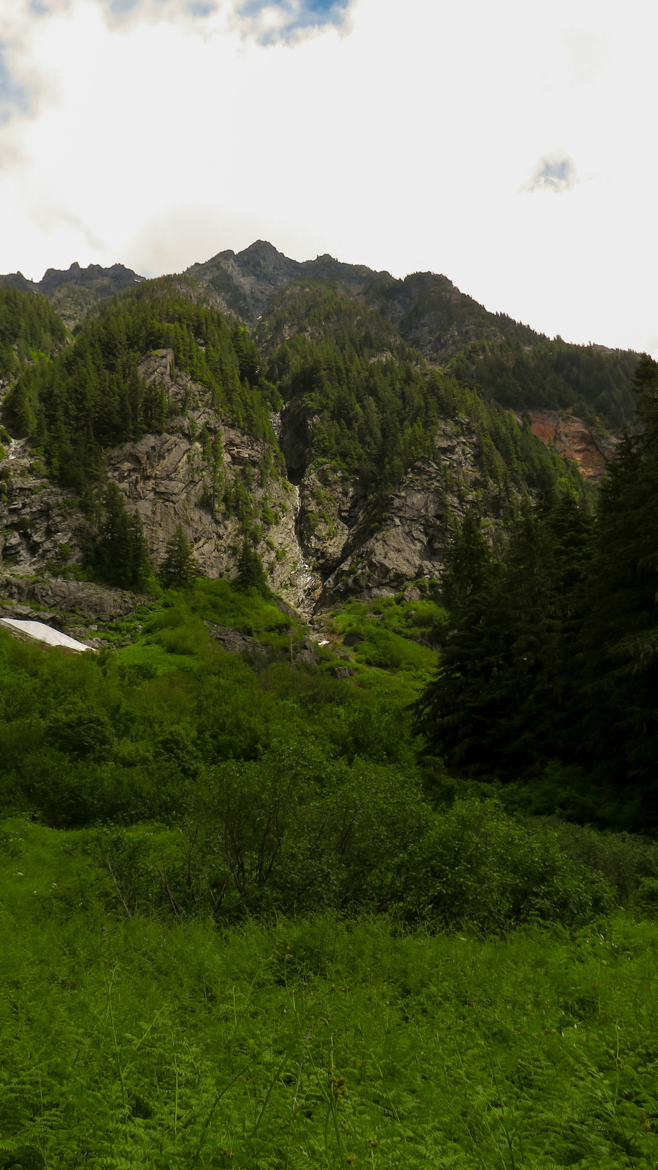 Forested Mountain Valley Waterfall