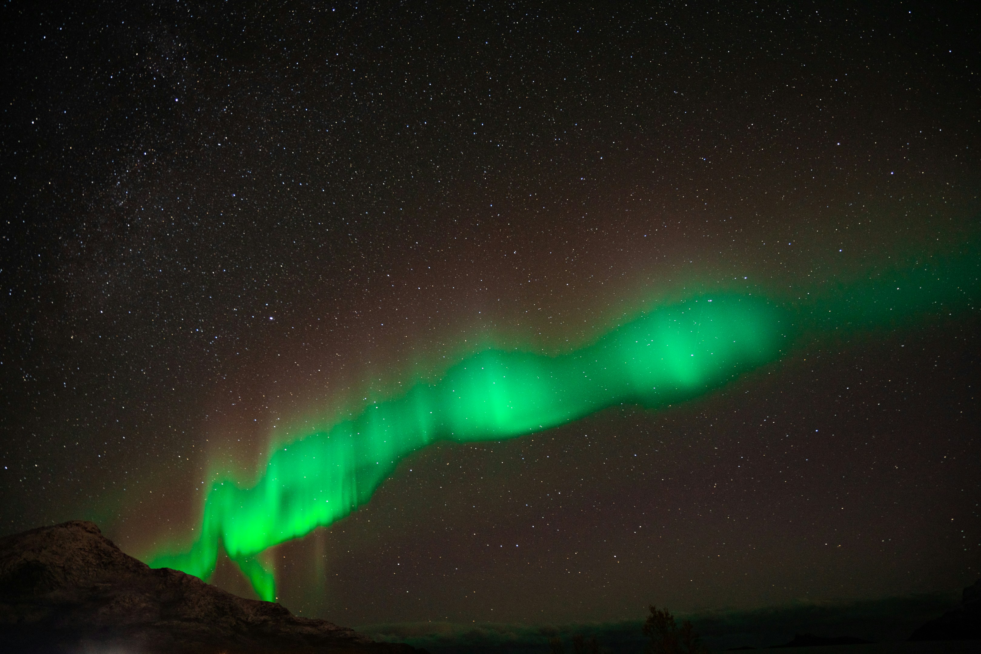 Green Aurora Over Starry Night Sky