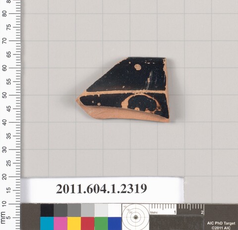 Ancient Pottery Fragment