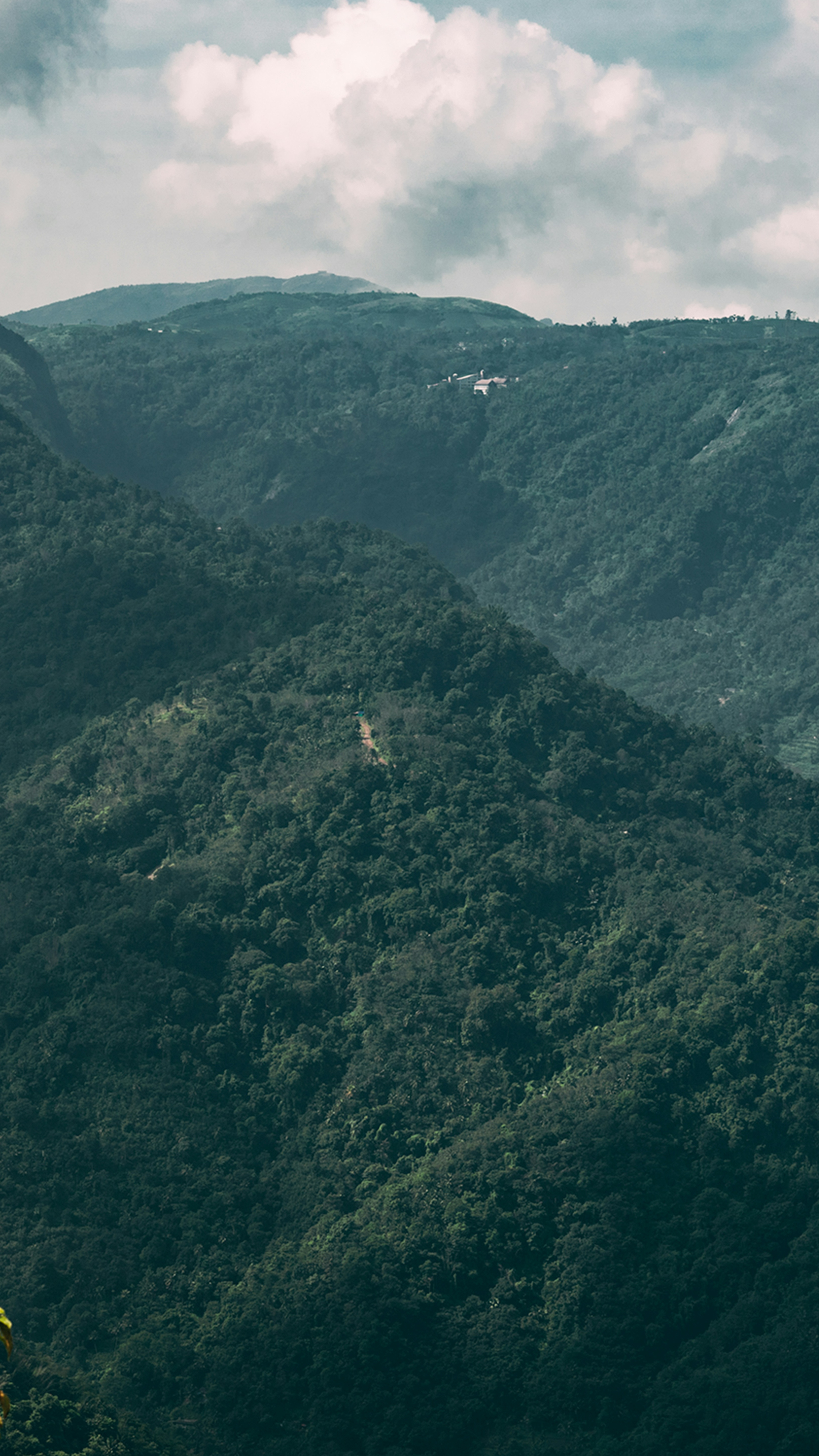 Landscapes