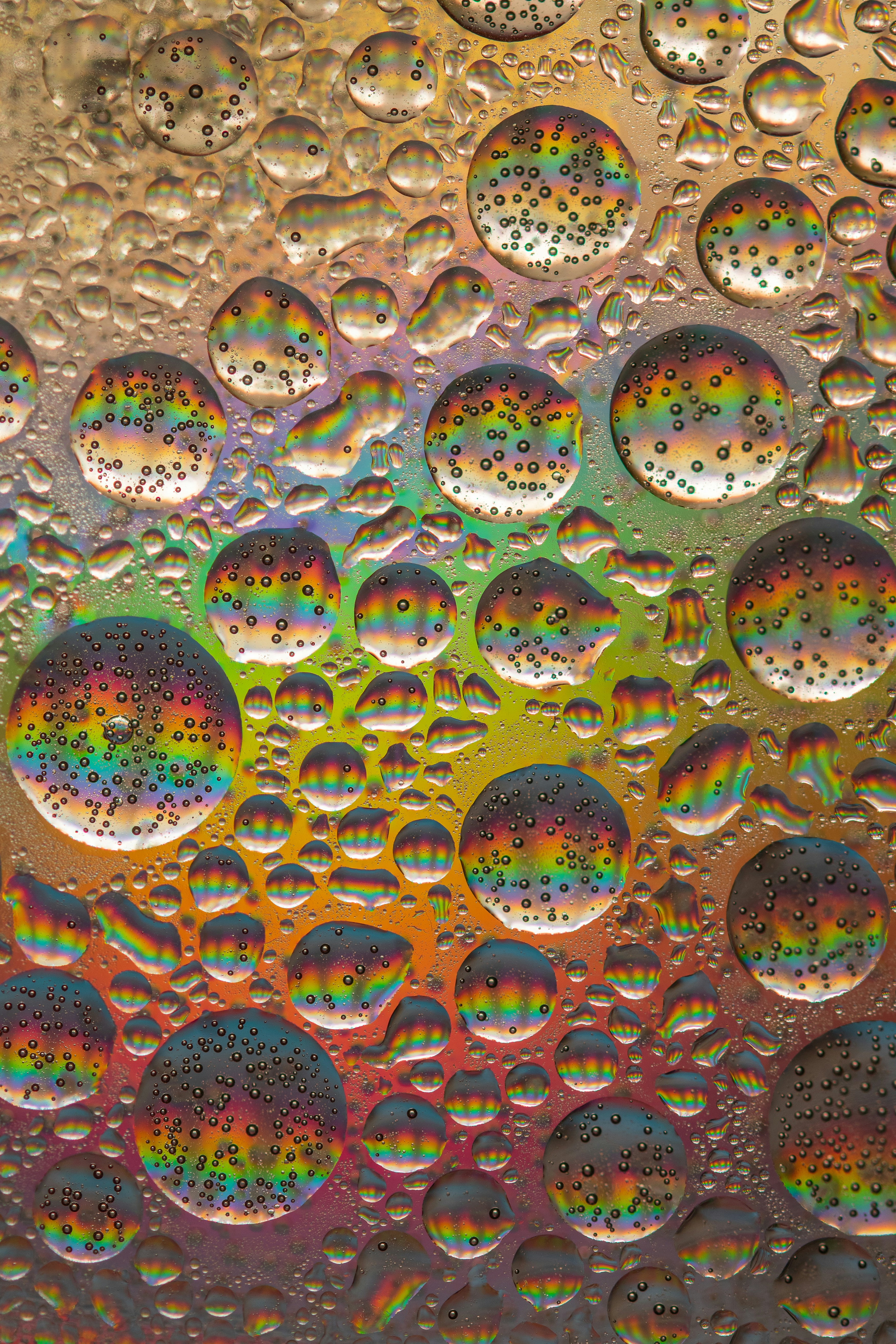 Rainbow Refracted Water Droplets