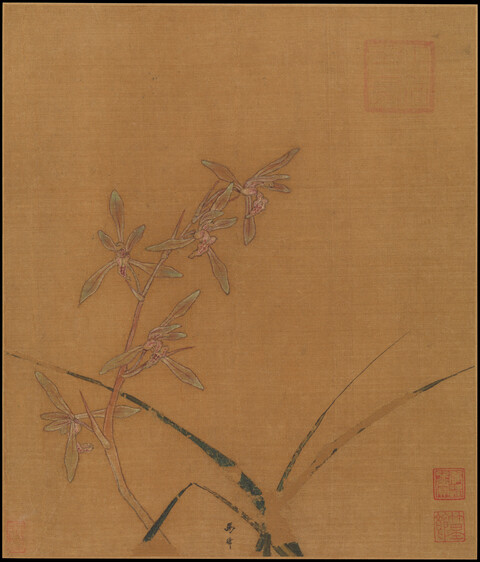 Ancient Chinese Orchid Painting