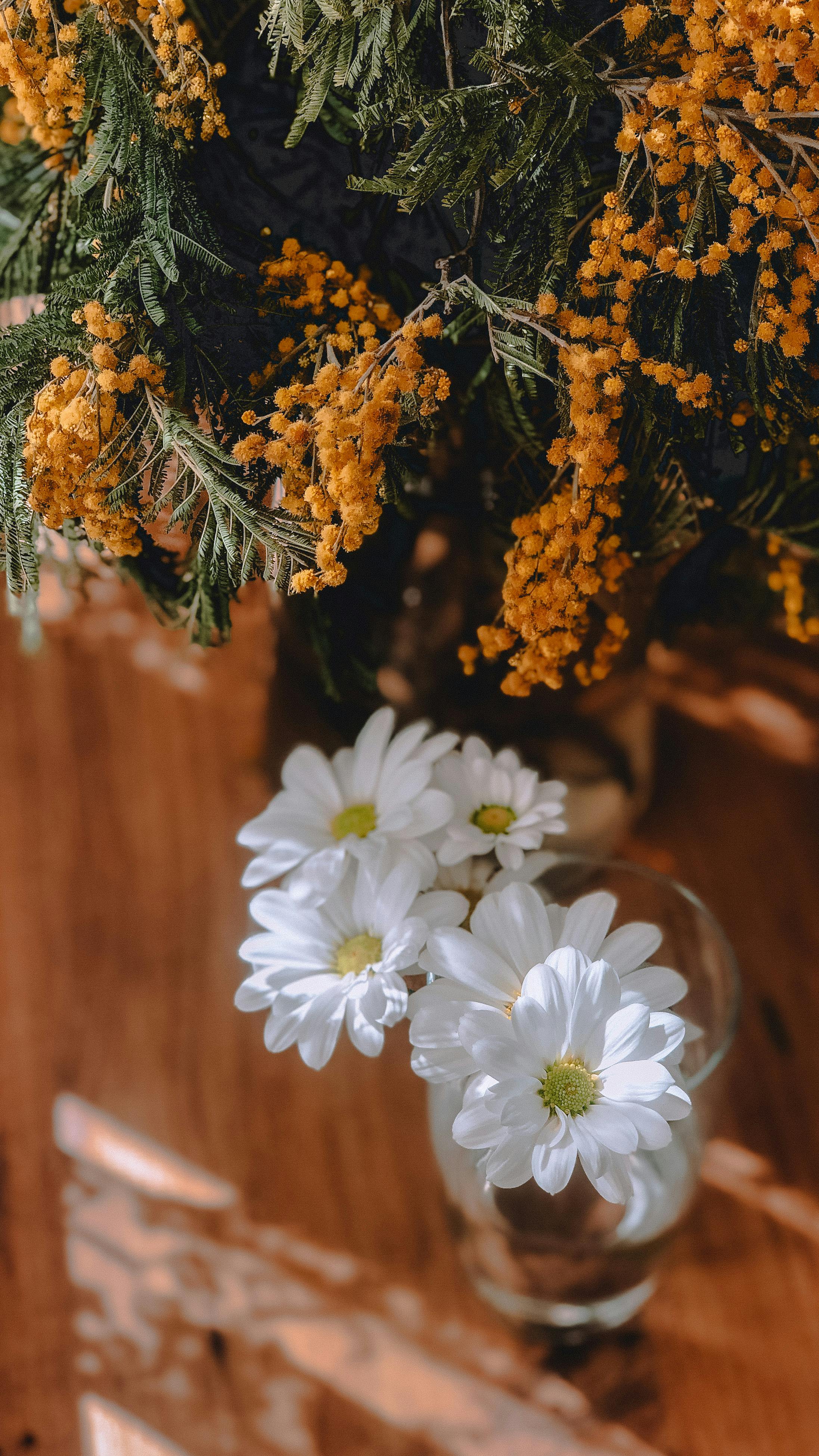 Daisies and Mimosa Floral Arrangement
