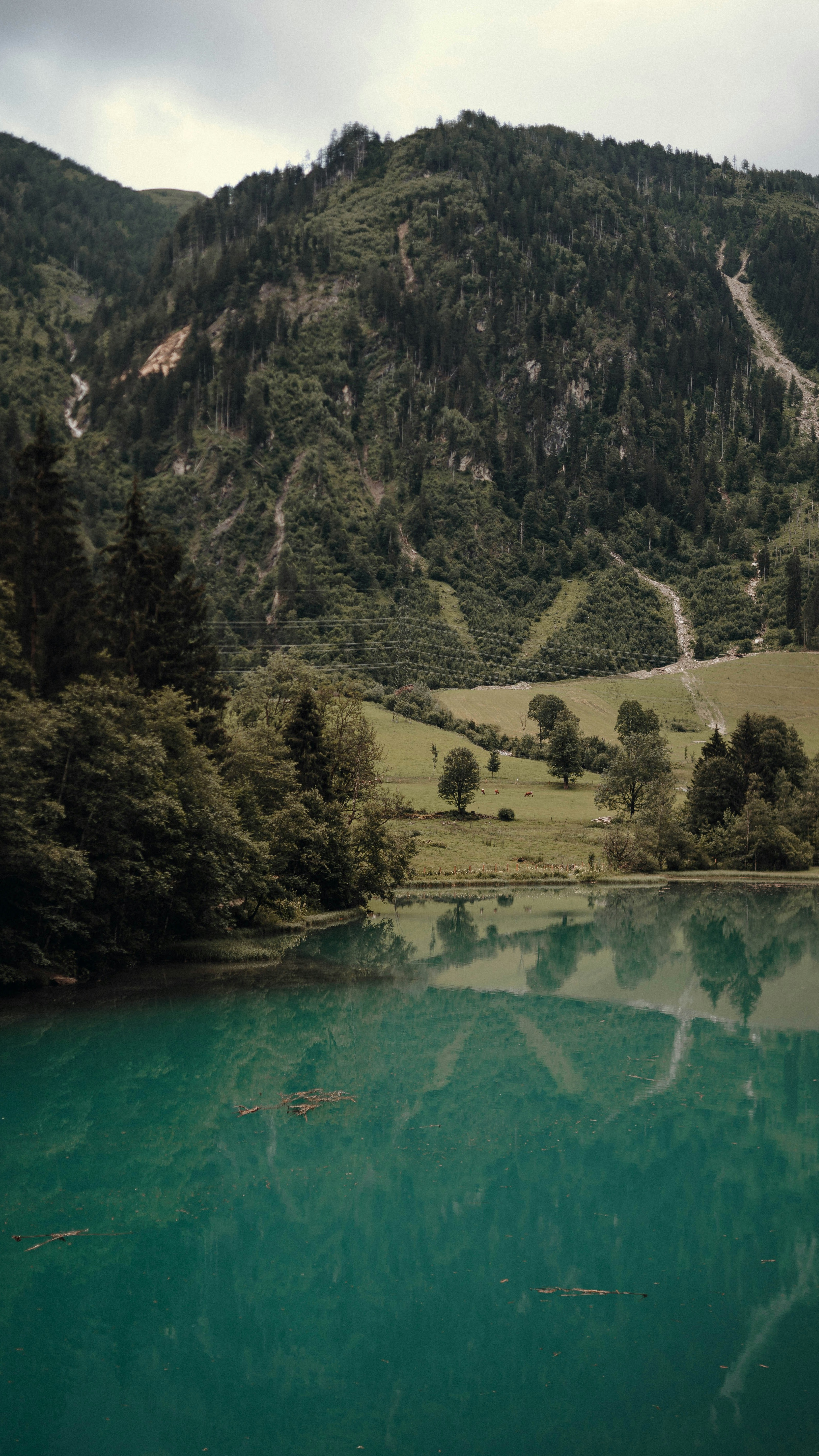 Wallpapers