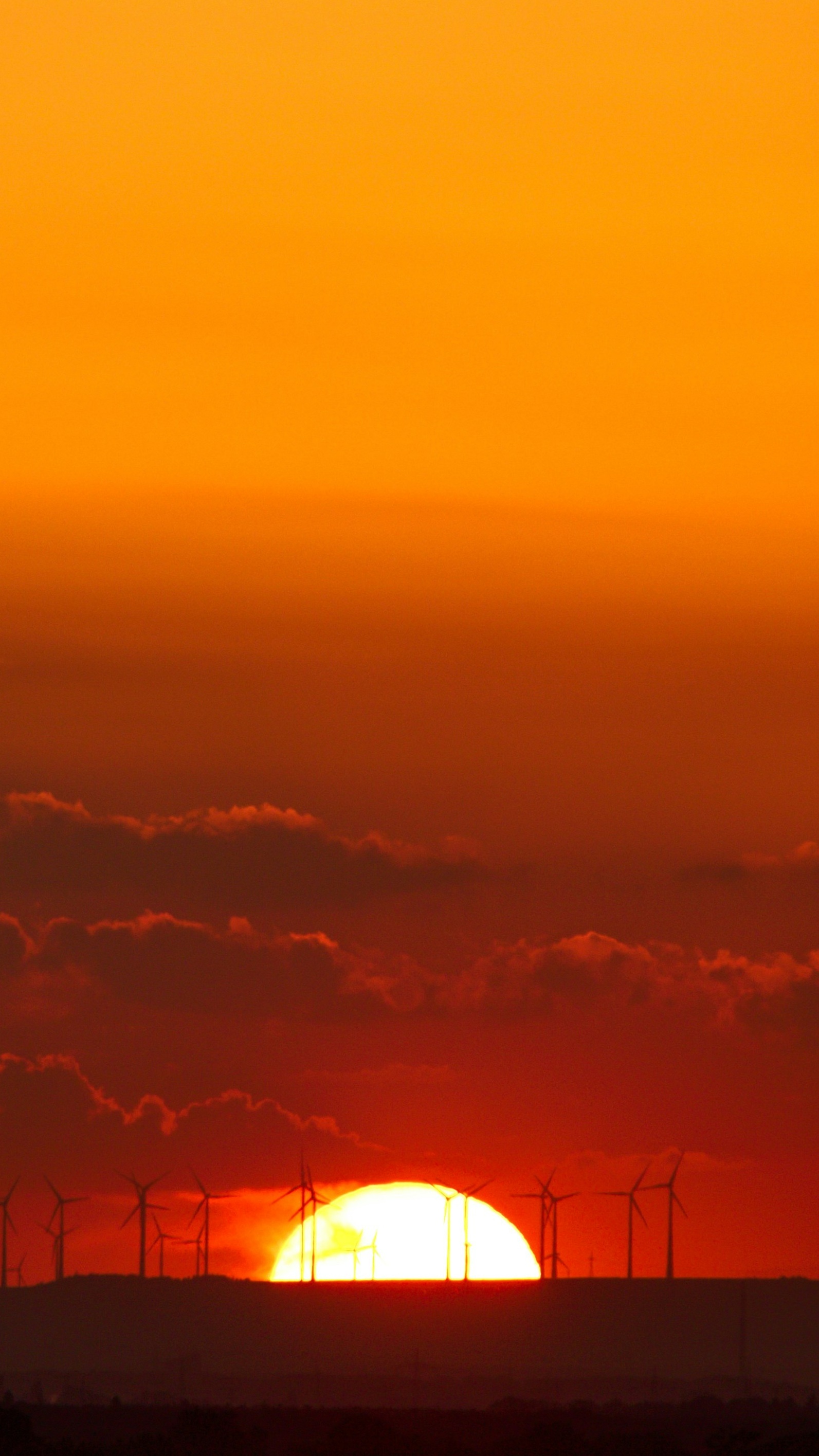 Wallpapers