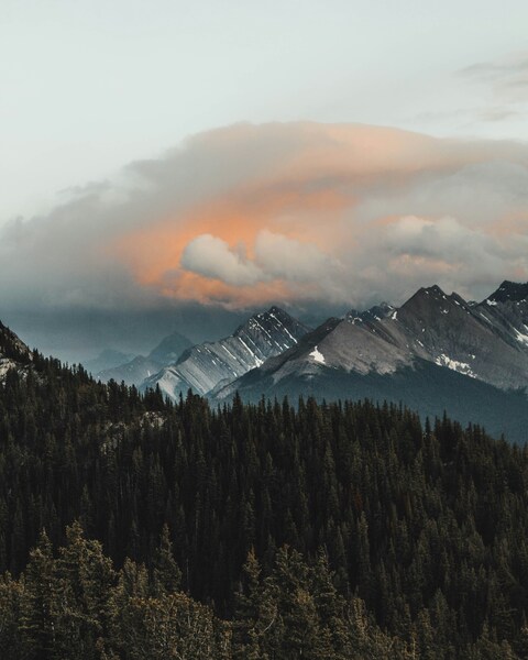 Sunlit Clouds Over Mountain Forest