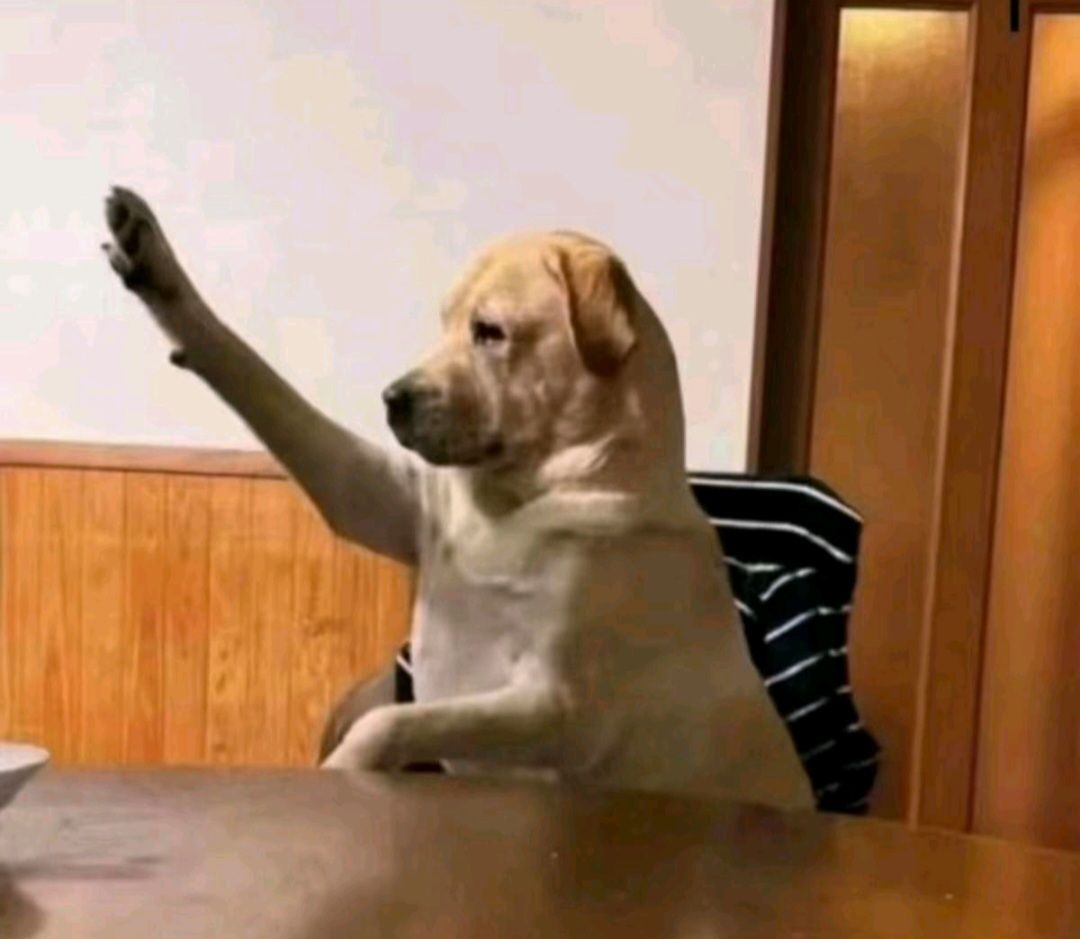 Dog Raising Paw At Table