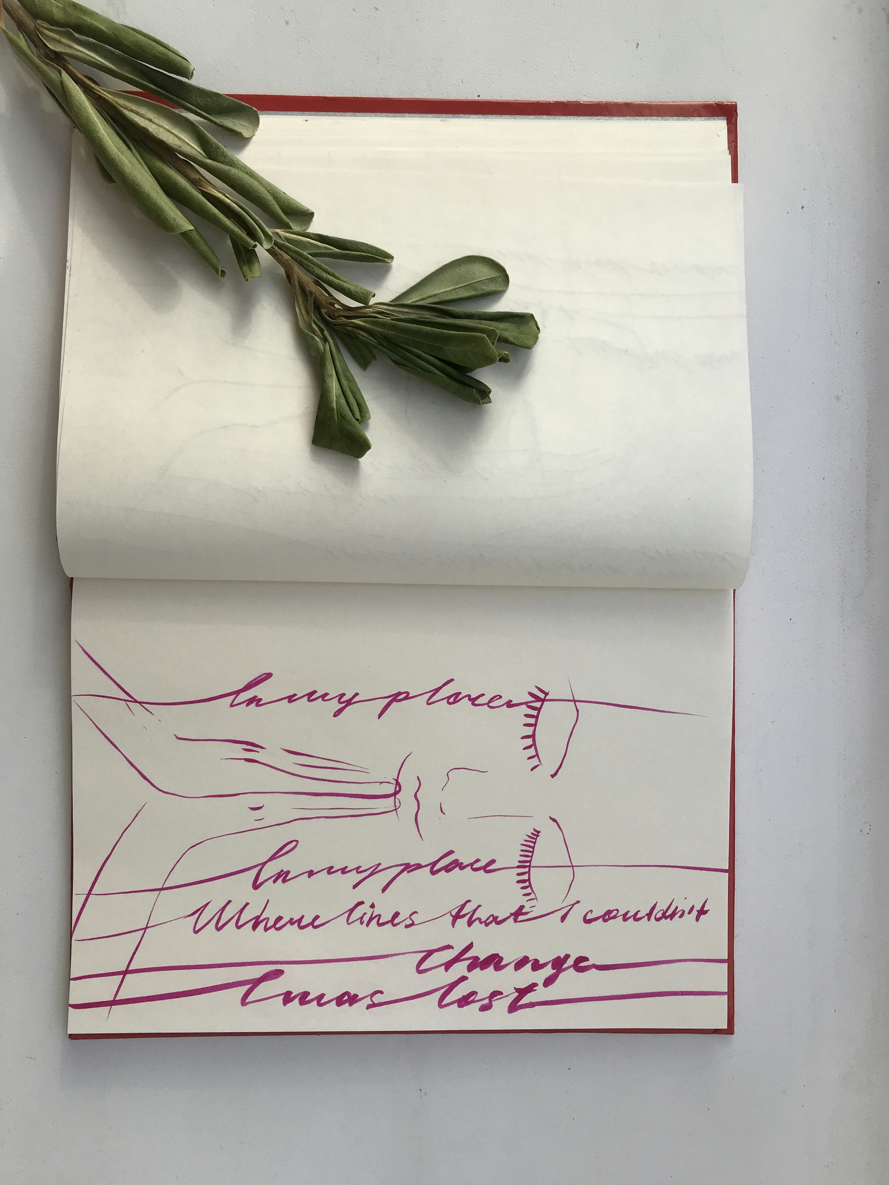 Open Notebook With Plant and Handwritten Lyrics