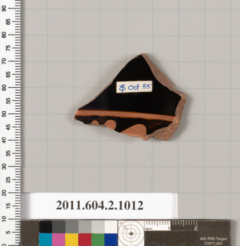 Museum Cataloged Pottery Shard