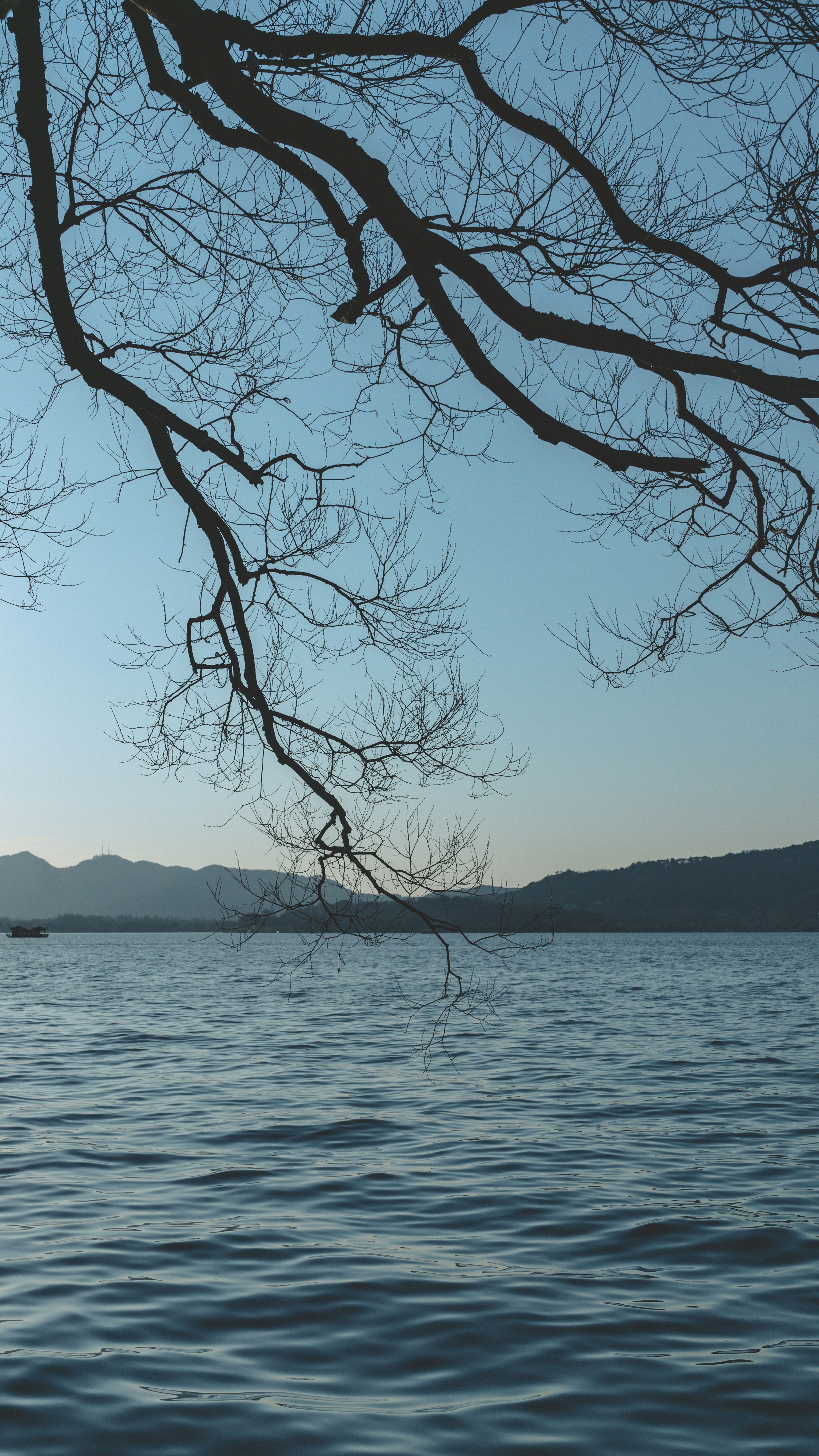 Landscapes