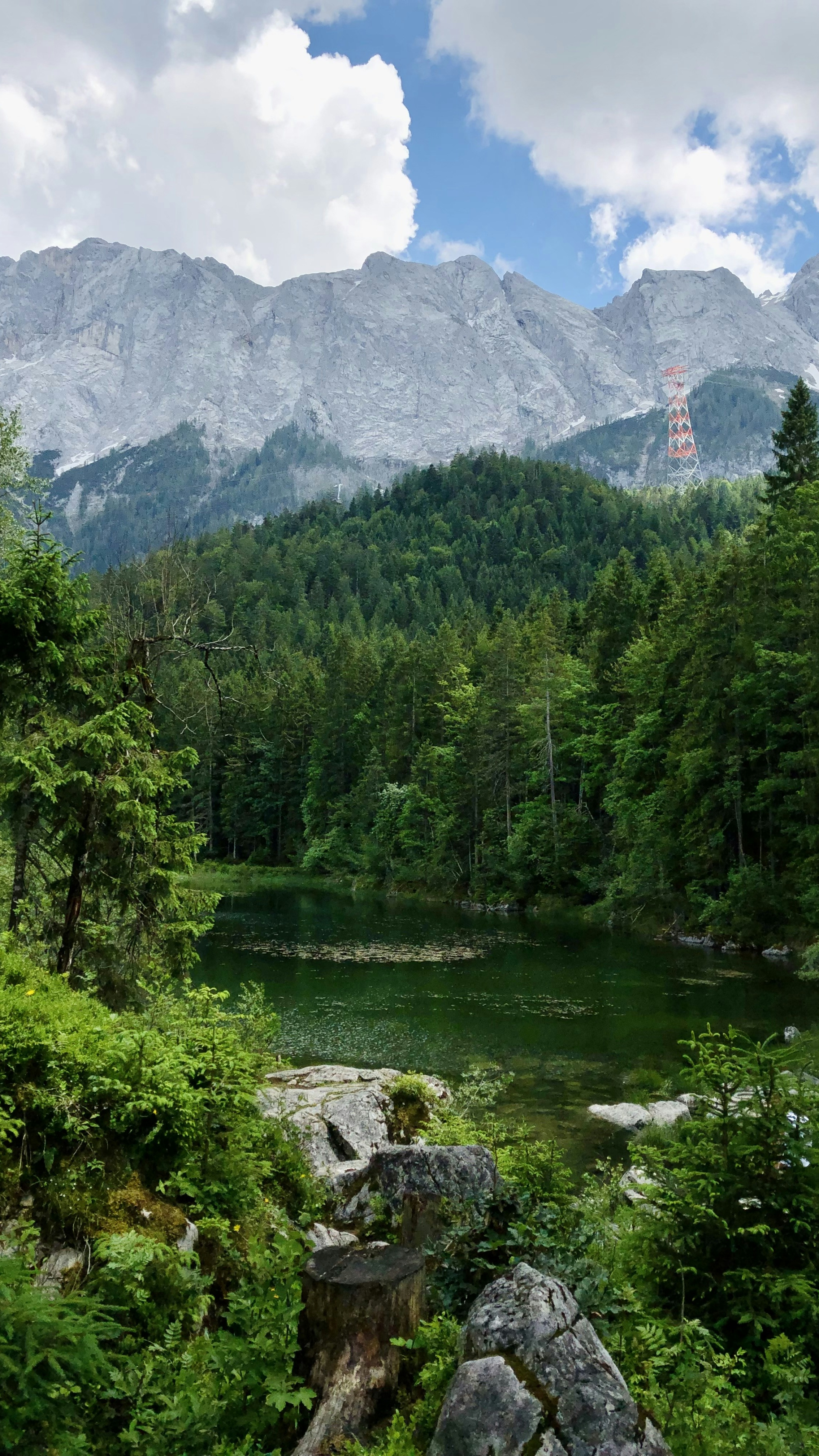 Landscapes