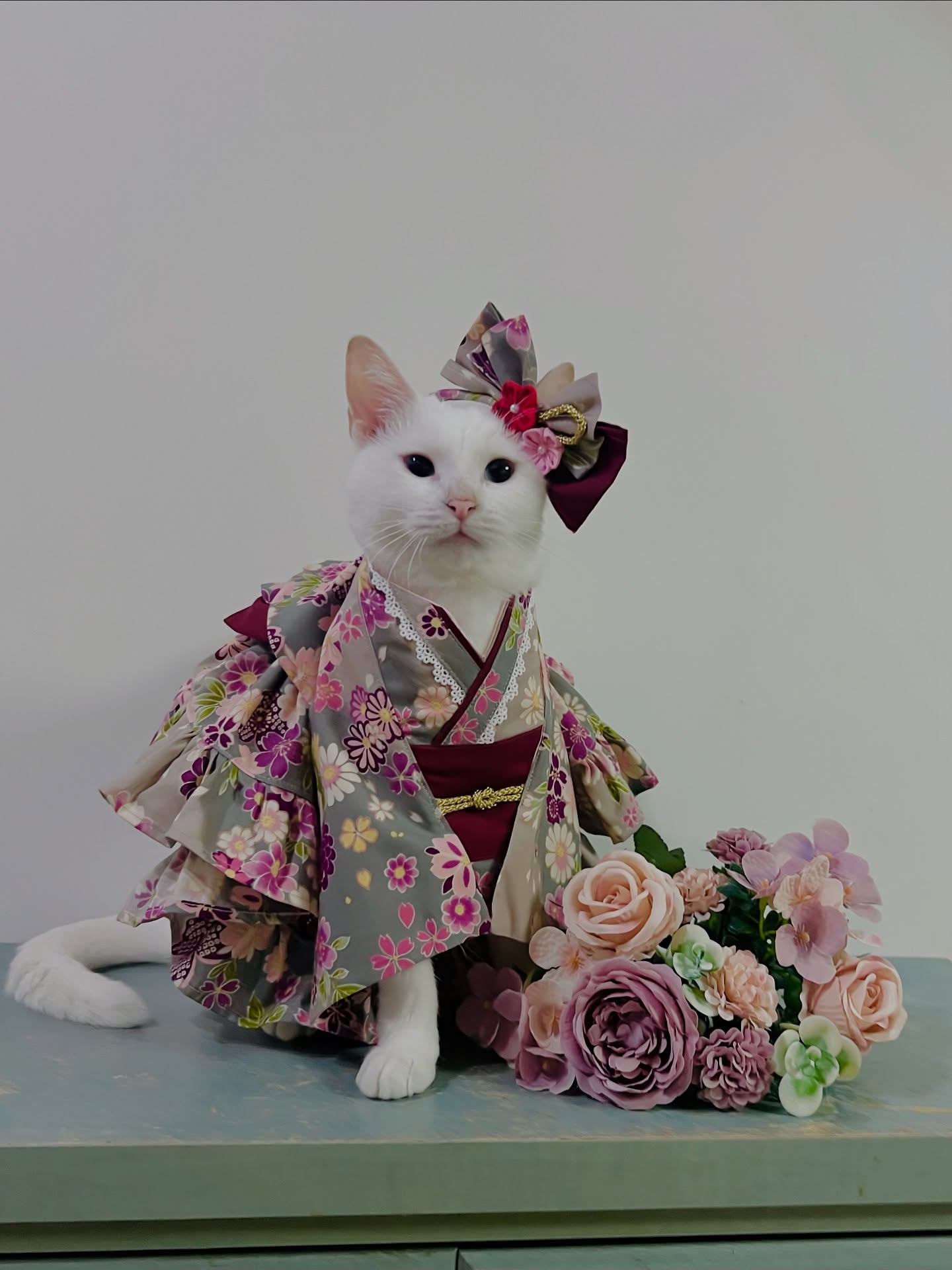White Cat in Traditional Kimono Outfit