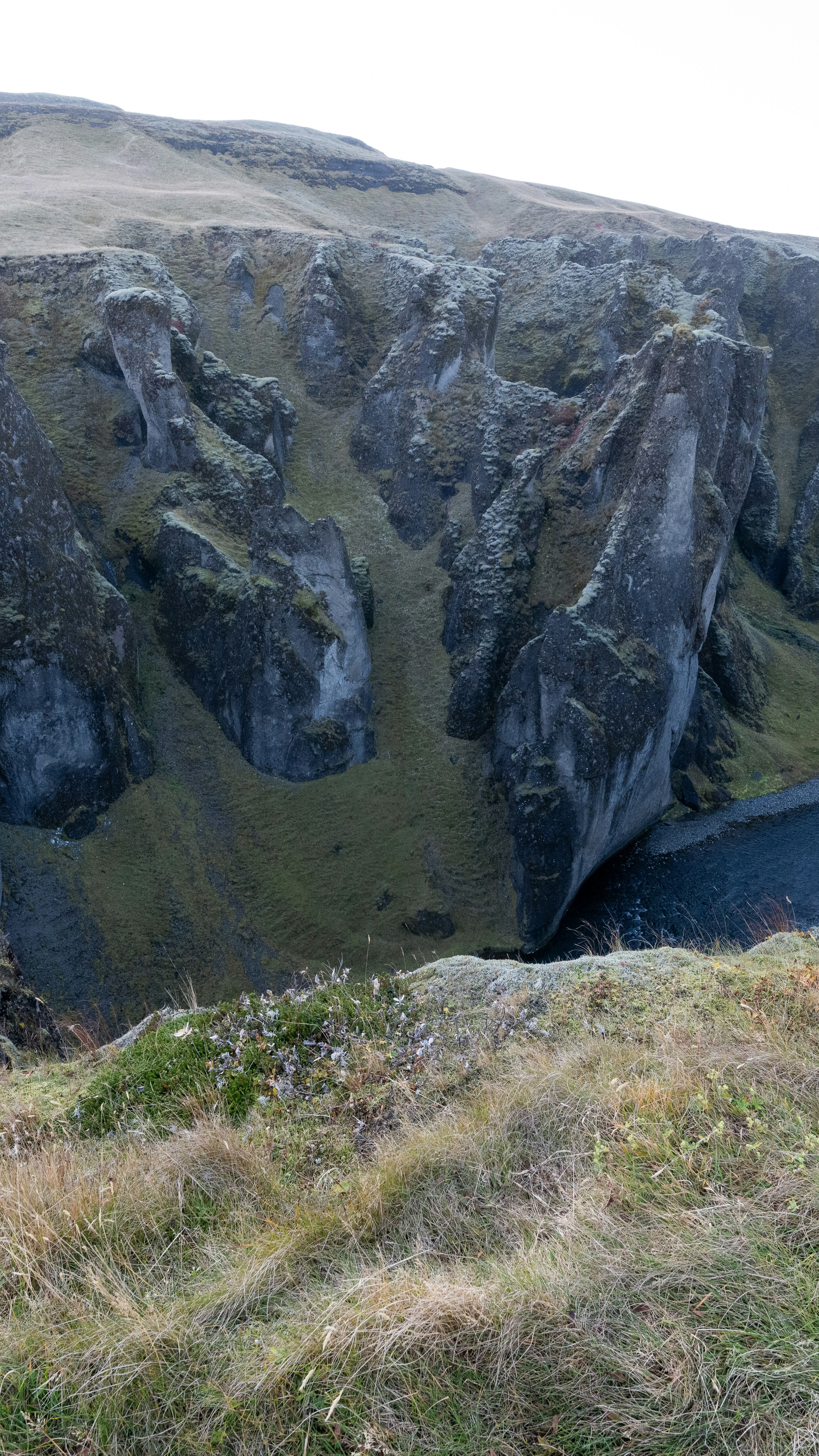 Image 1555048 — Nature