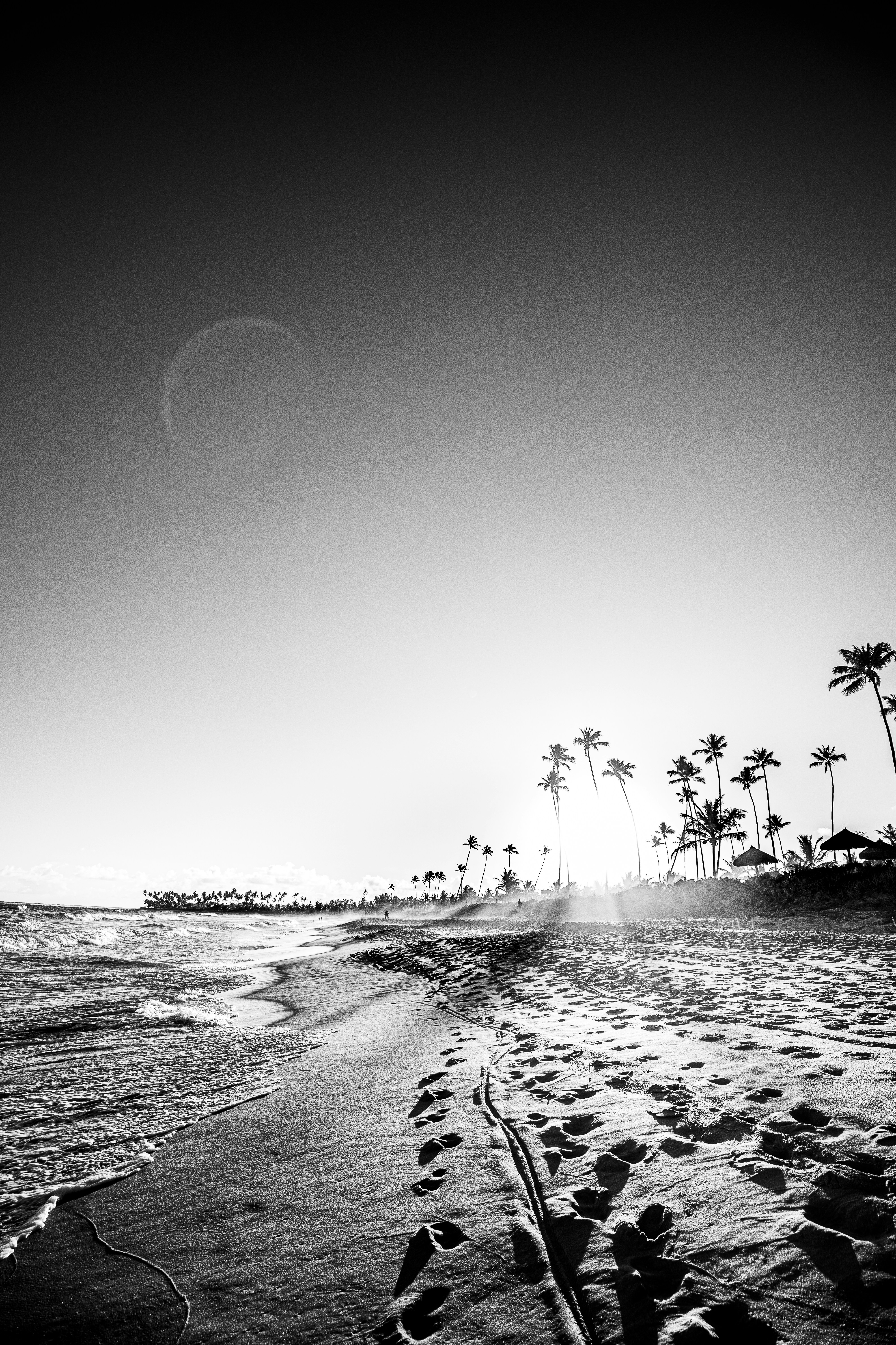 Black and White Tropical Beach