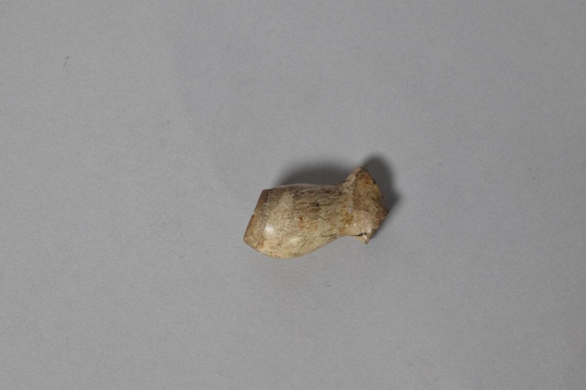 Broken Ancient Pottery Fragment