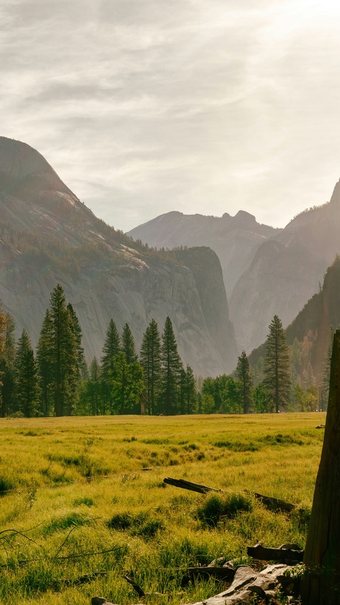 Mountain Valley Meadow Landscape
