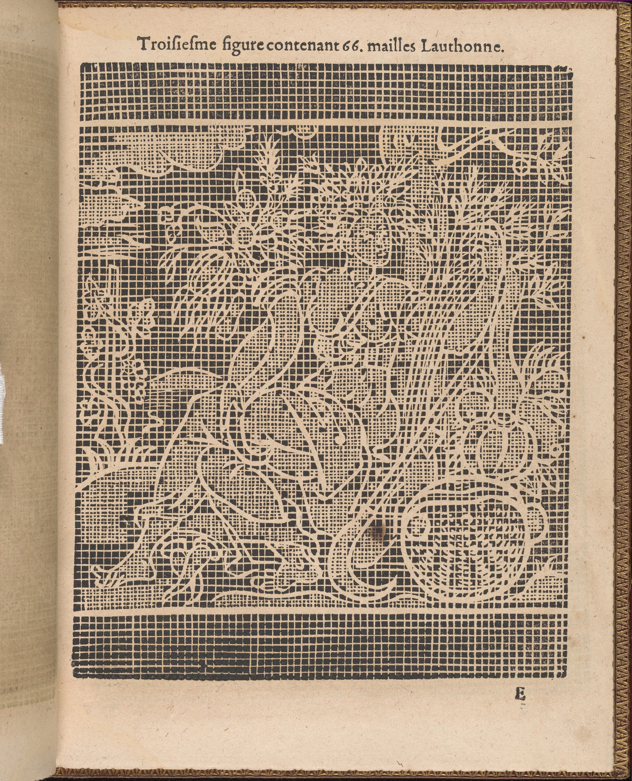 Antique French Lace Pattern Print
