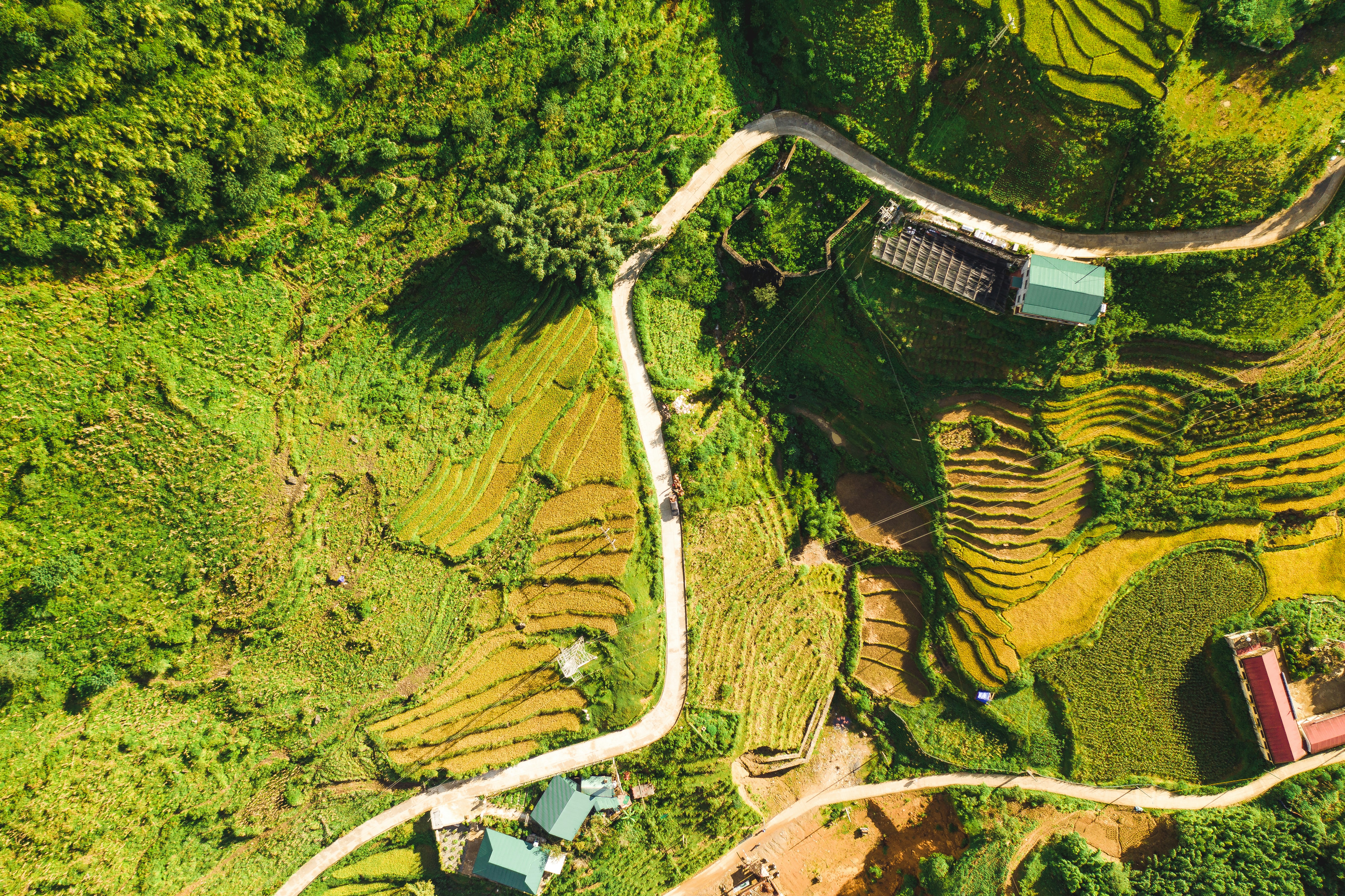 Aerial View of Mountain Terraced Fields