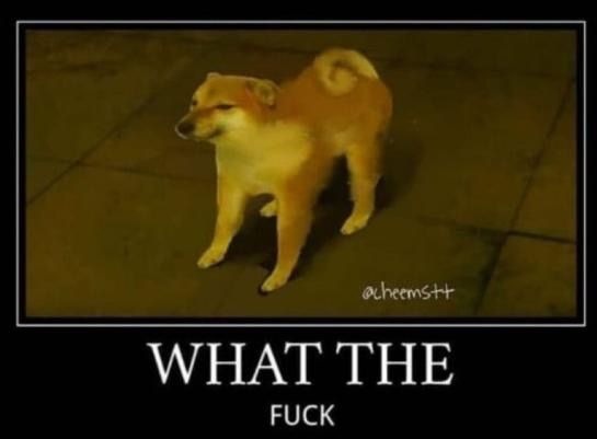 Confused Extra Leg Shiba Inu Meme