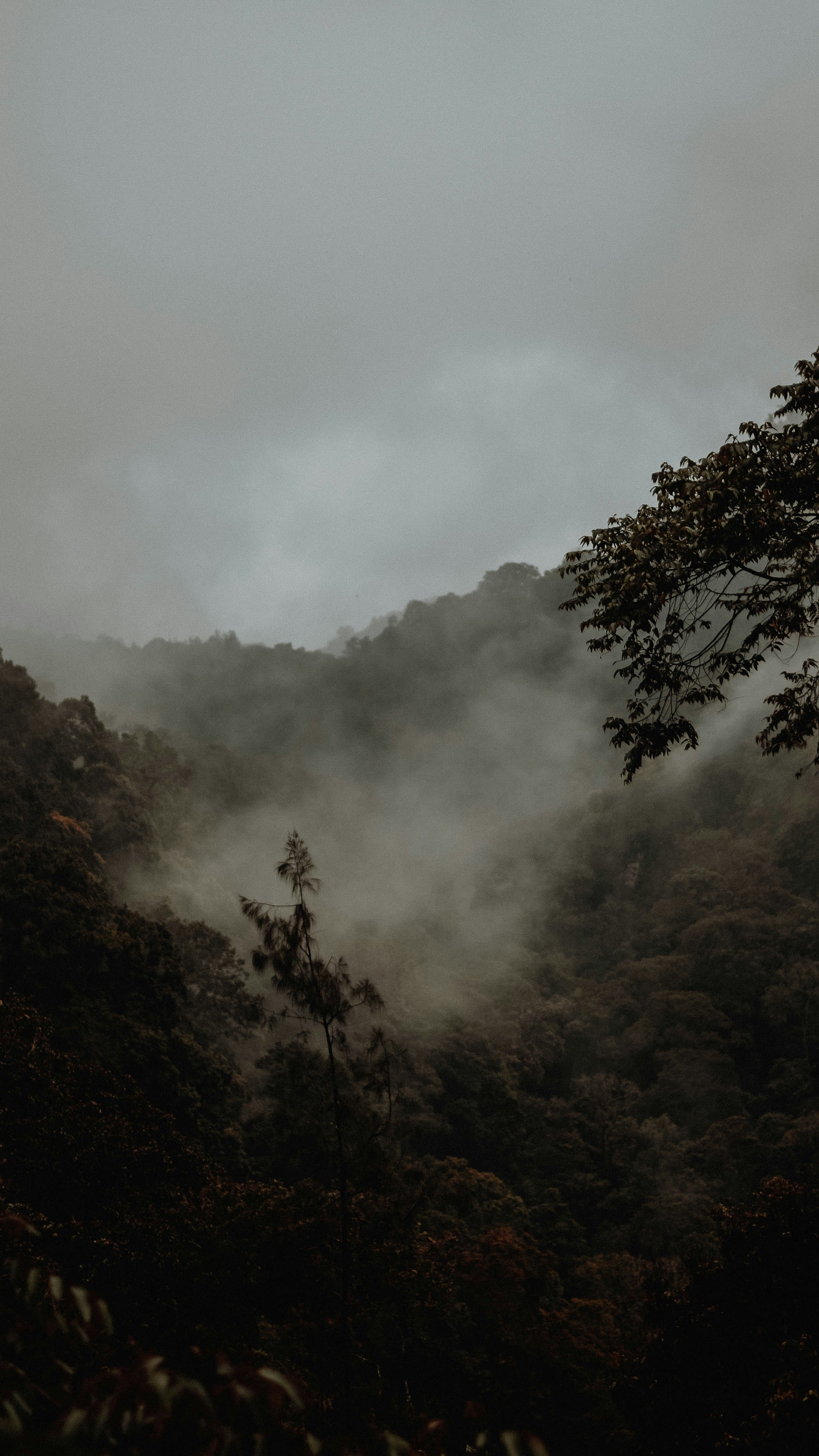 Wallpapers