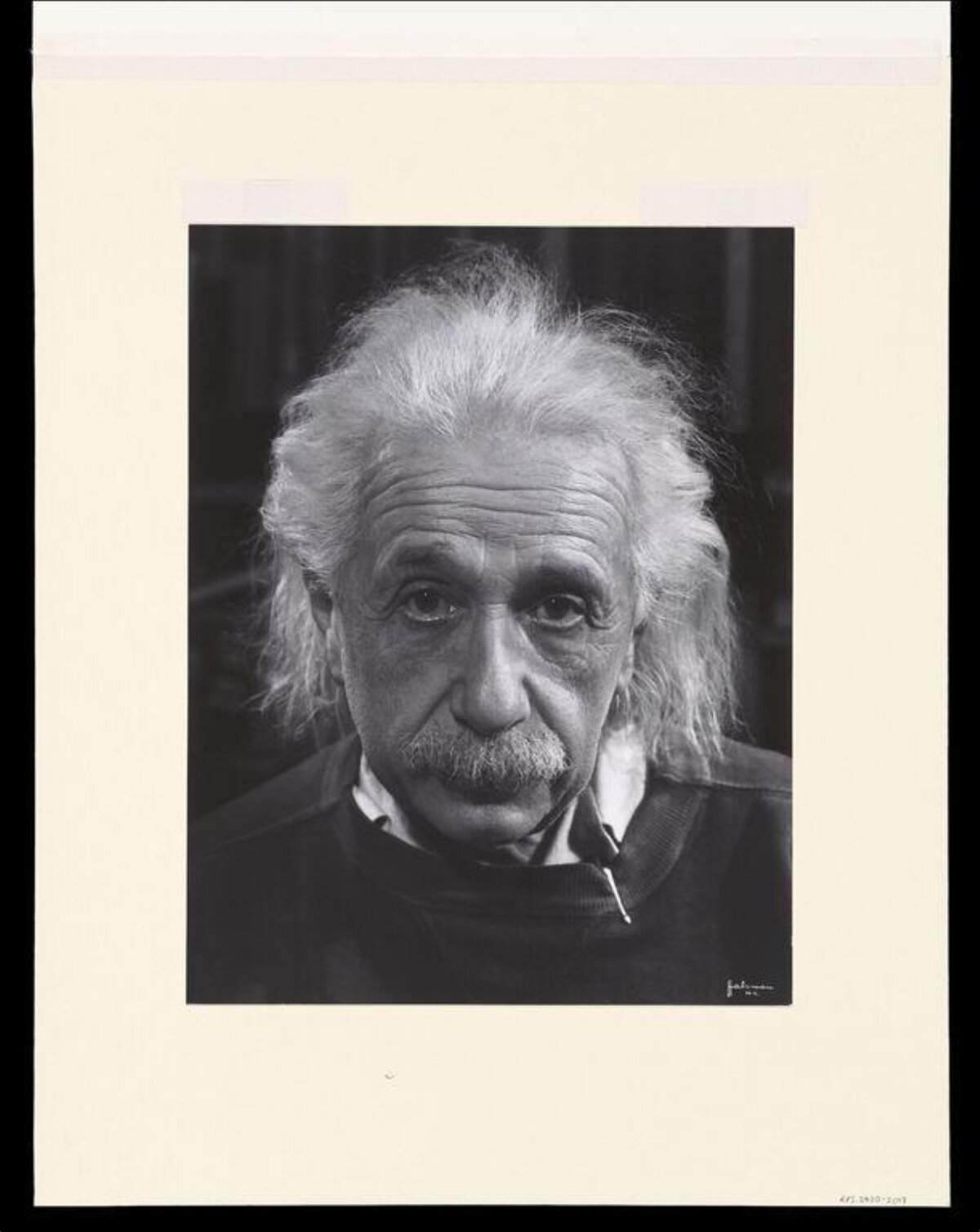 Black and White Einstein Portrait