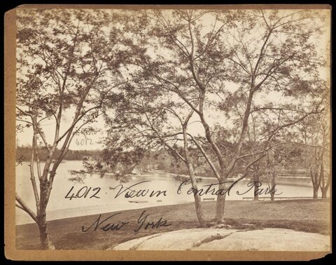 View of Central Park New York