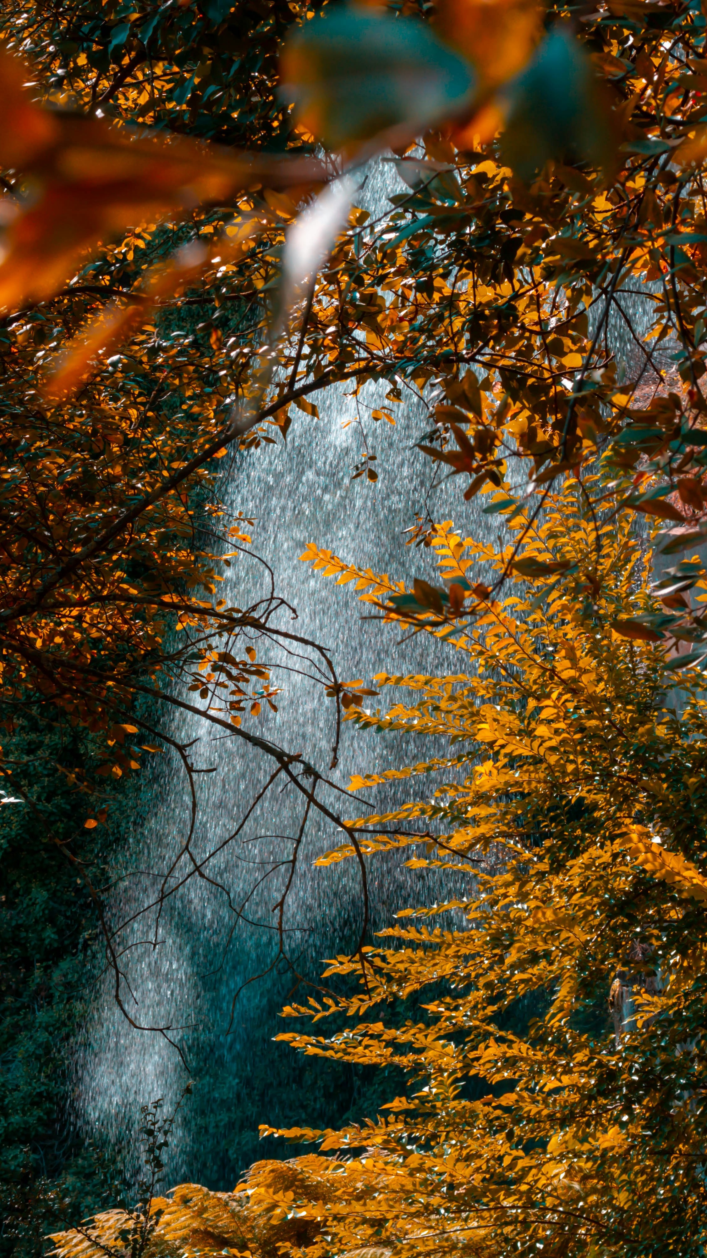 Wallpapers