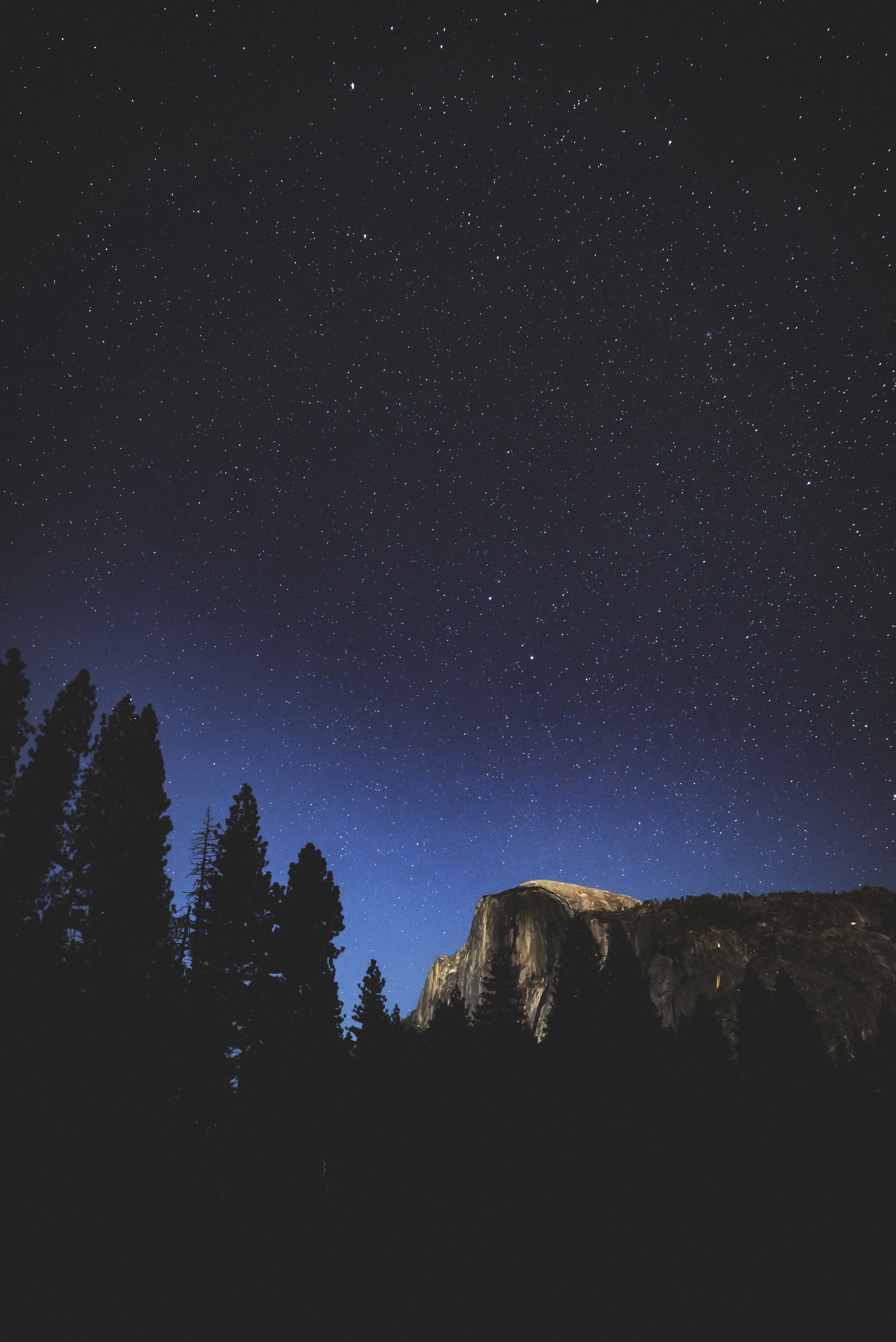 Starry Night Over Mountain Forest