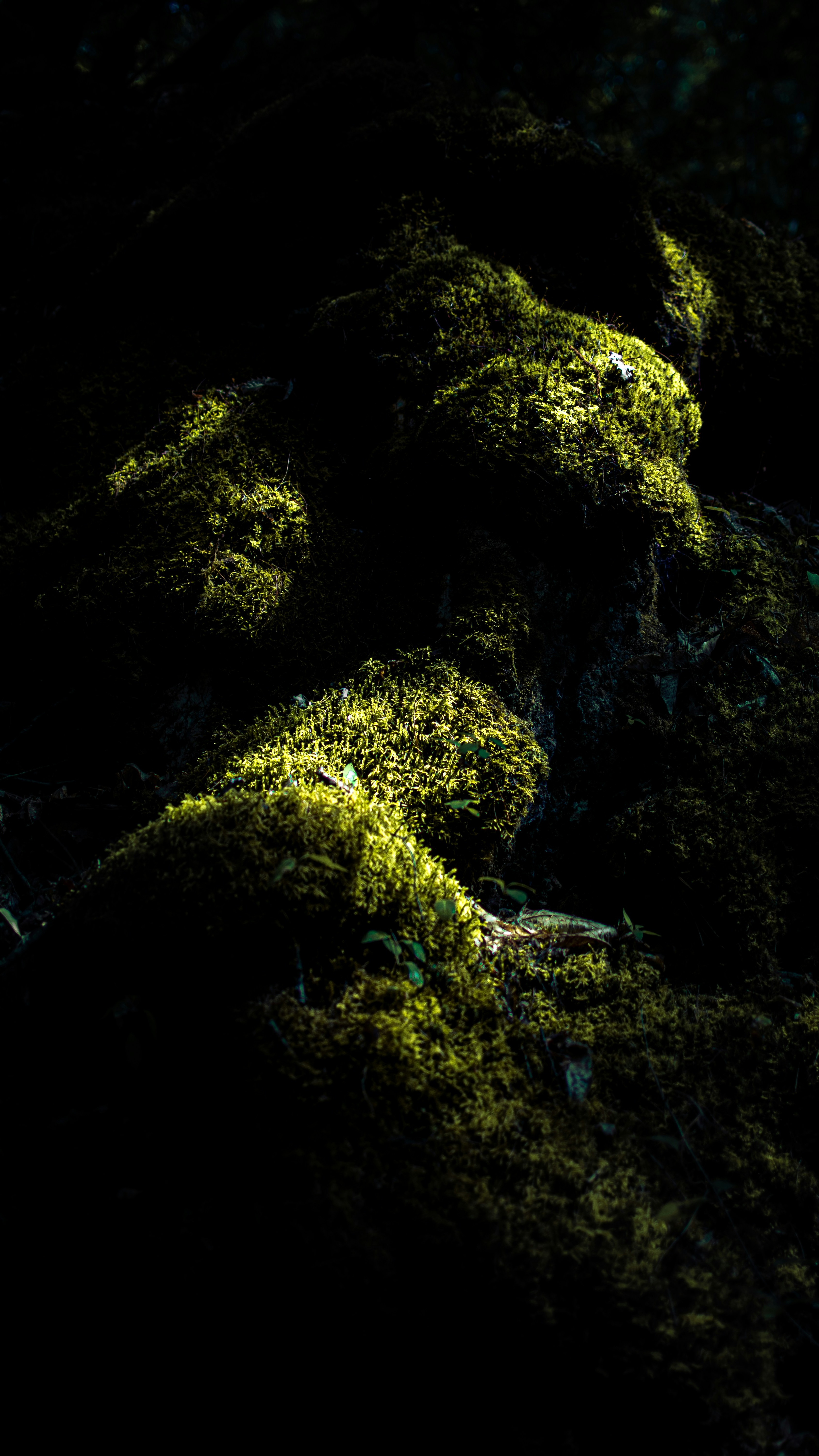 Wallpapers
