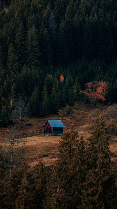 Cabin on Autumn Forest Hillside
