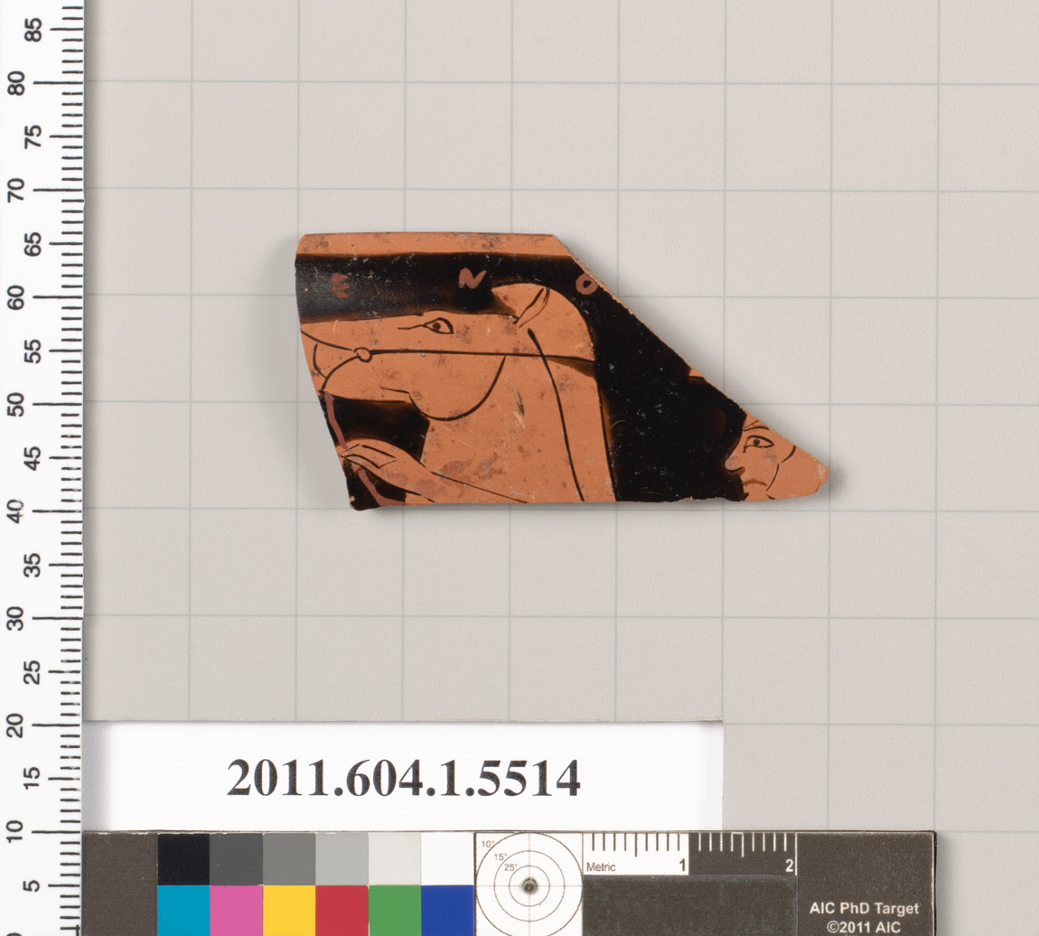Ancient Terracotta Pottery Fragment