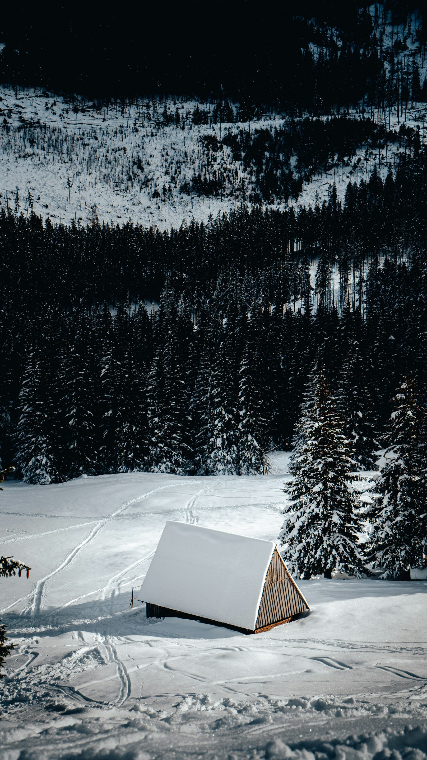 Wallpapers