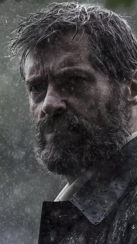 Old Wolverine In Heavy Rain