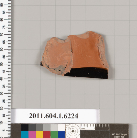 Ancient Pottery Shard Specimen