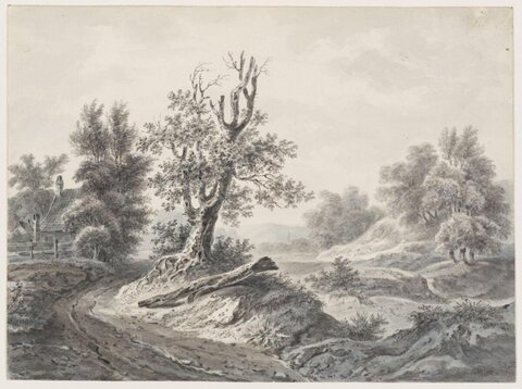 Rural Landscape with Gnarled Old Tree