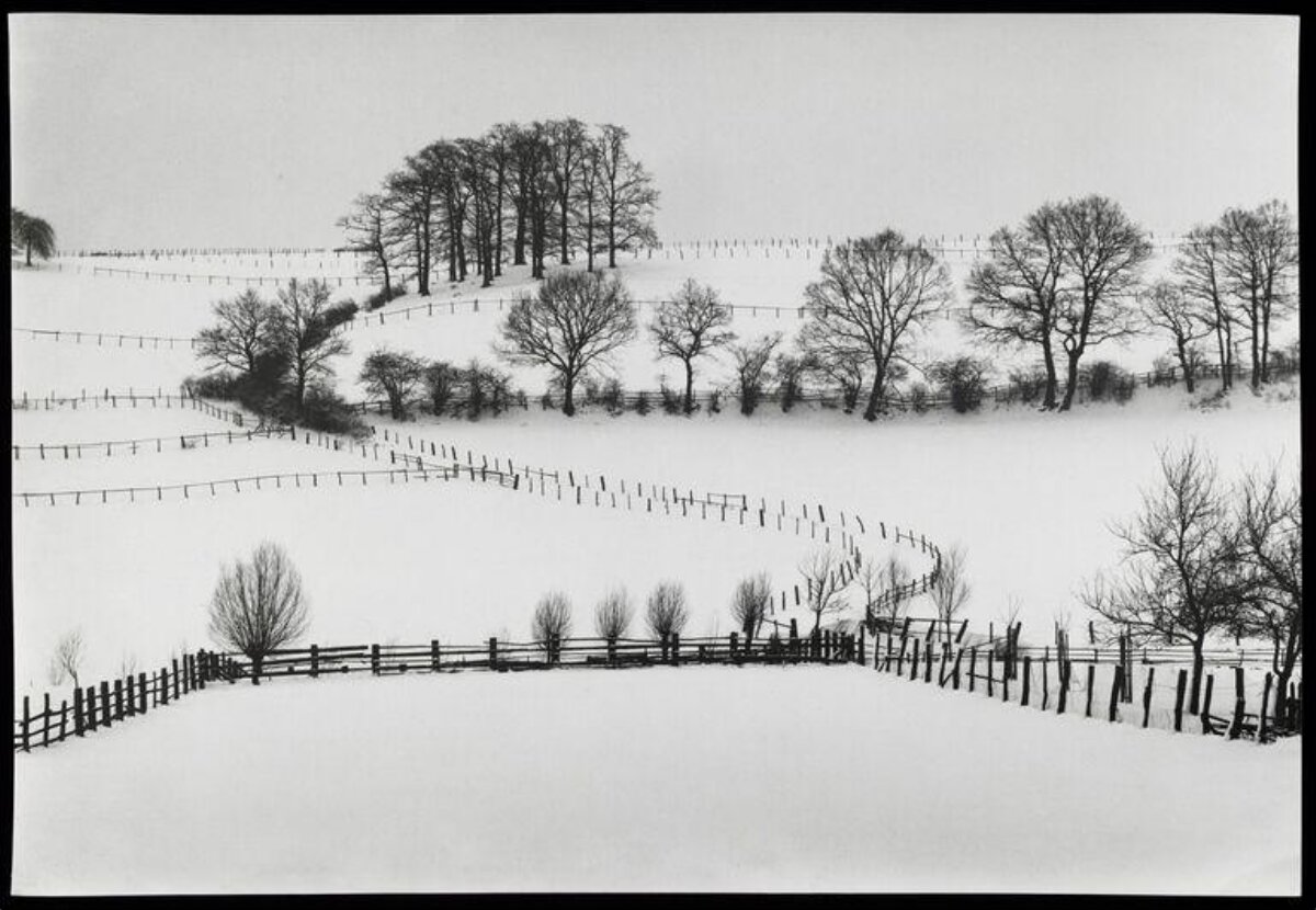 Snowy Winter Countryside Landscape