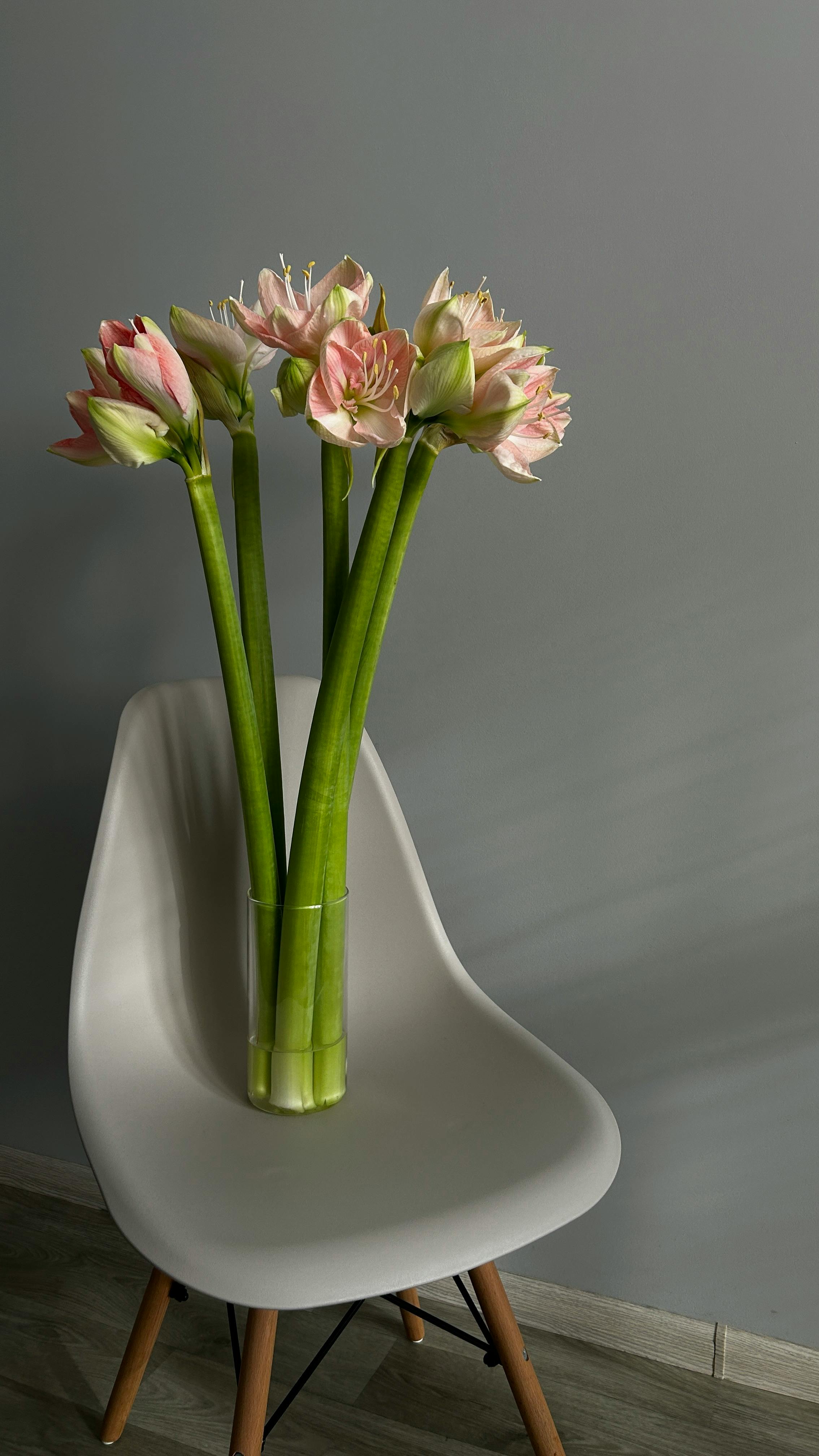 Home Decoration