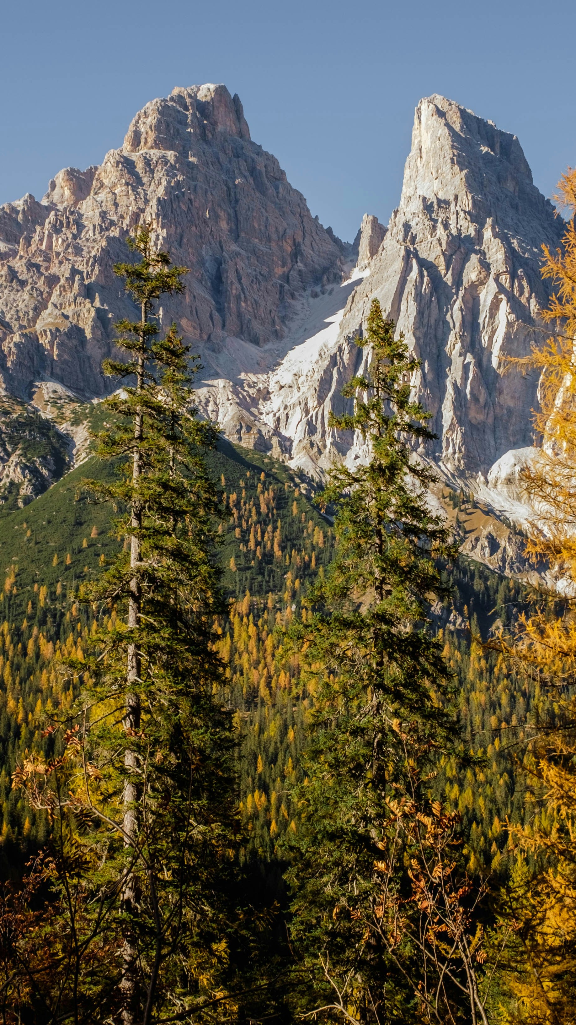 Image 1570003 — Backgrounds