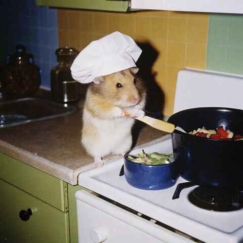 Hamster Chef Cooking in Kitchen