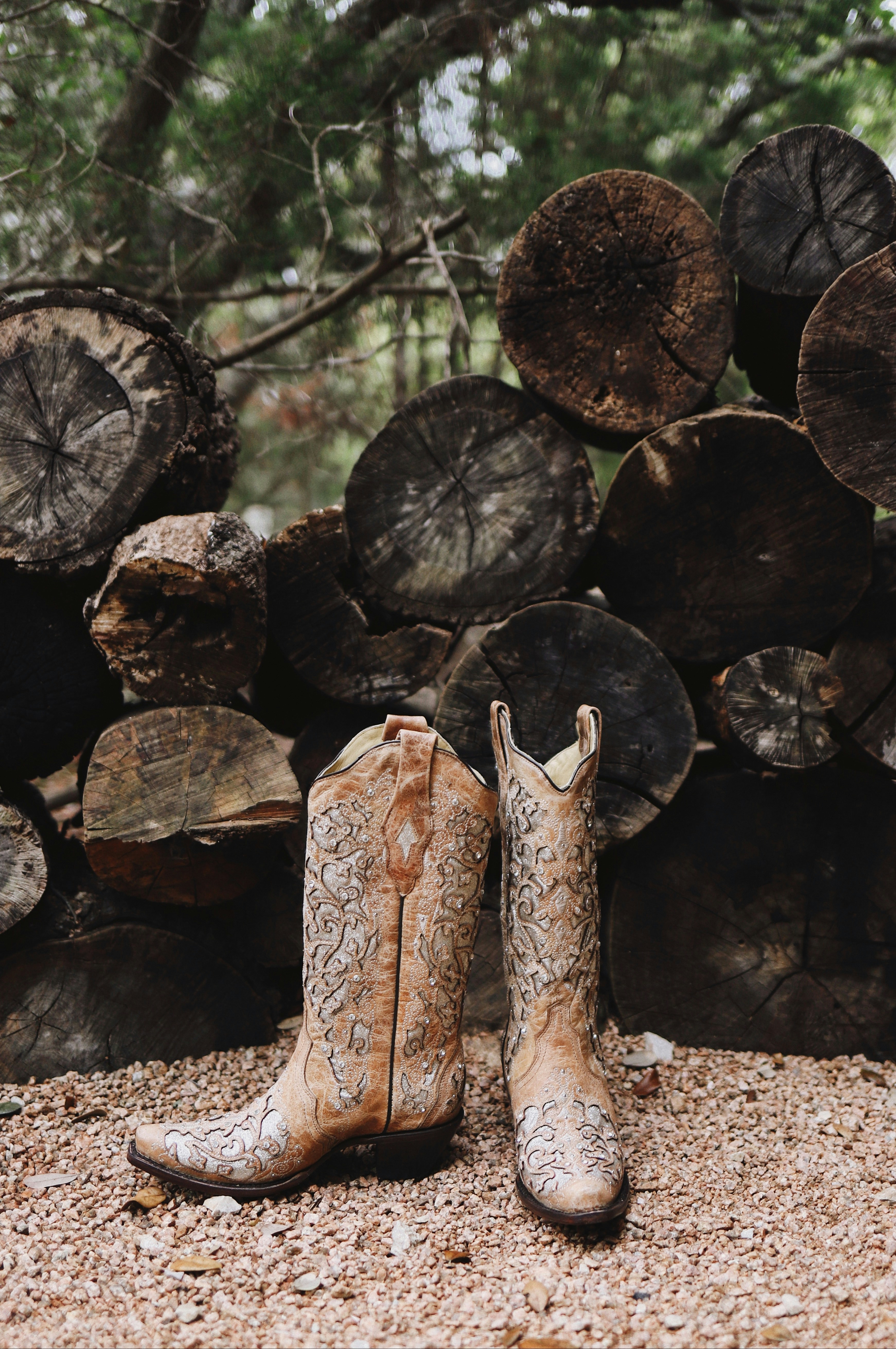 Embroidered Cowboy Boots by Log Pile