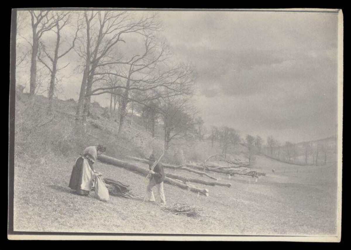 Two People Gathering Firewood on Hillside